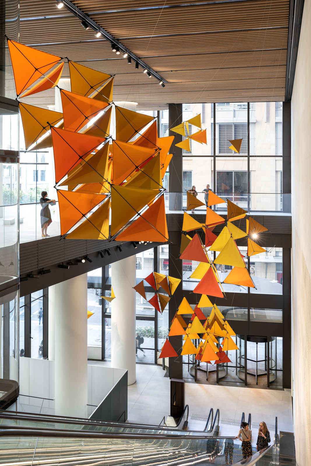 Image of The seeds of flight.