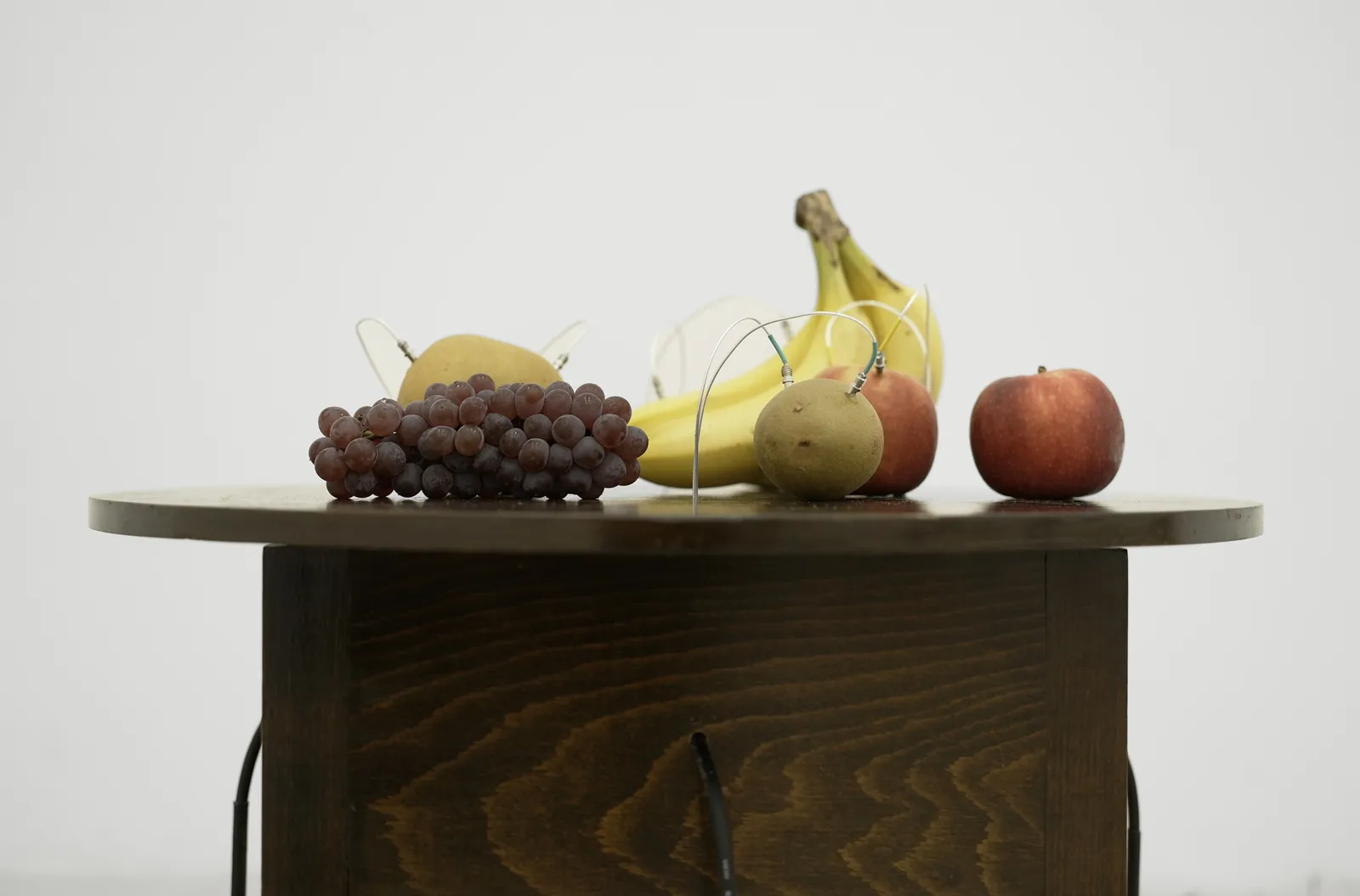 Image of Decomposition.