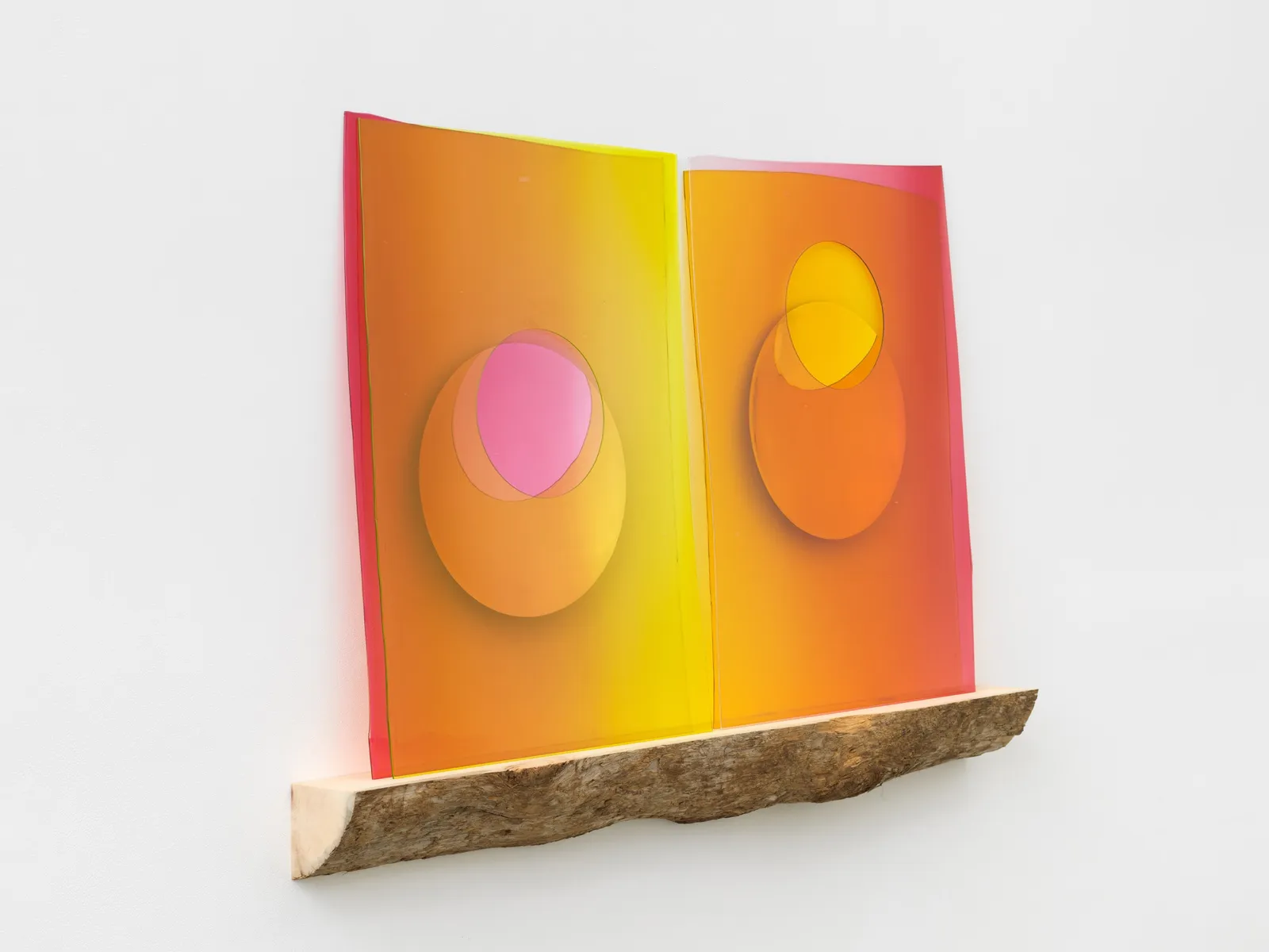 image of Eliasson tilted glass work on driftwood