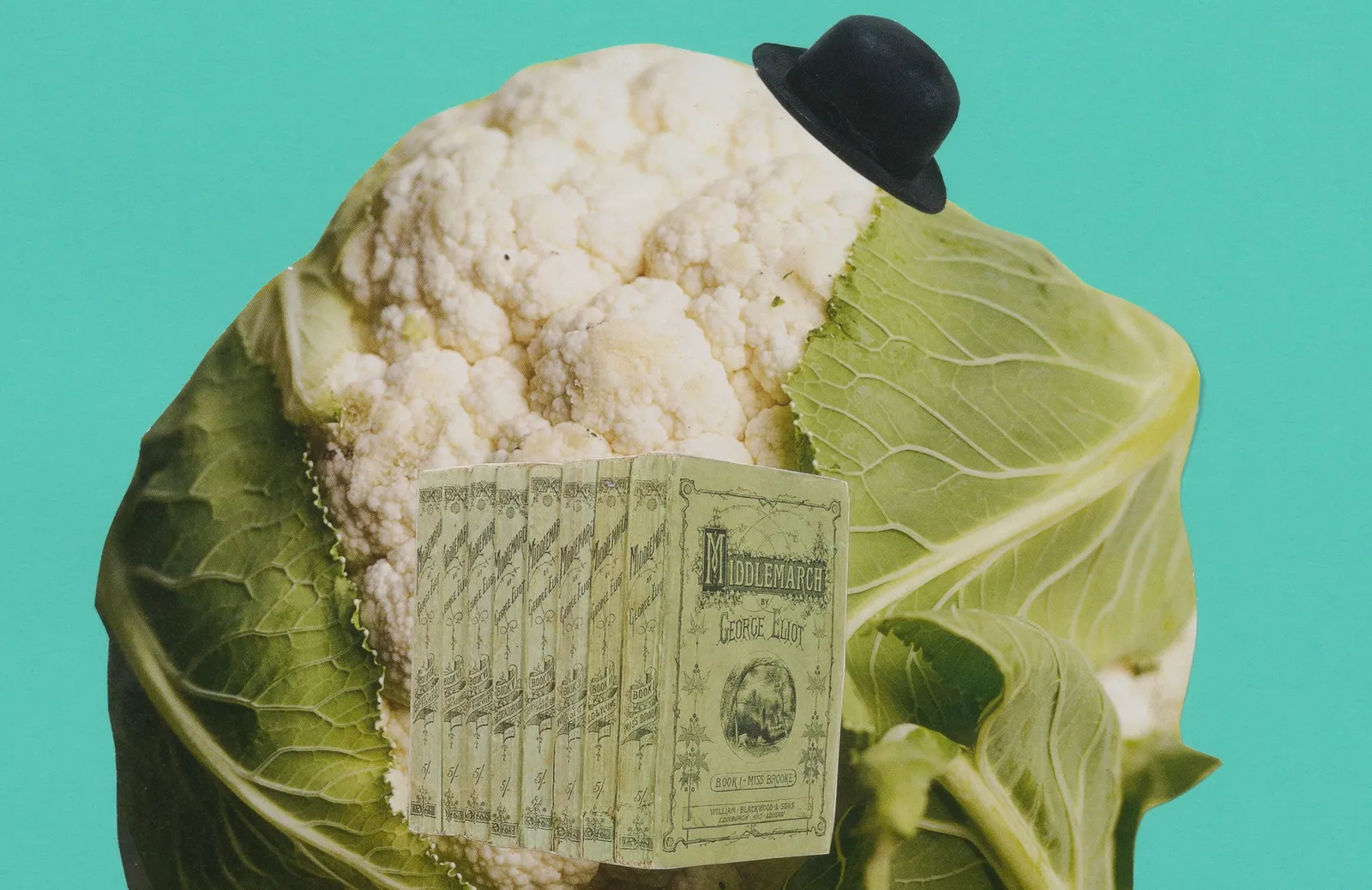 Image of Catachresis on paper #76 (head of the cauliflower, ala del sombrero, spine of the book, legs of the chair, heels of the shoe)