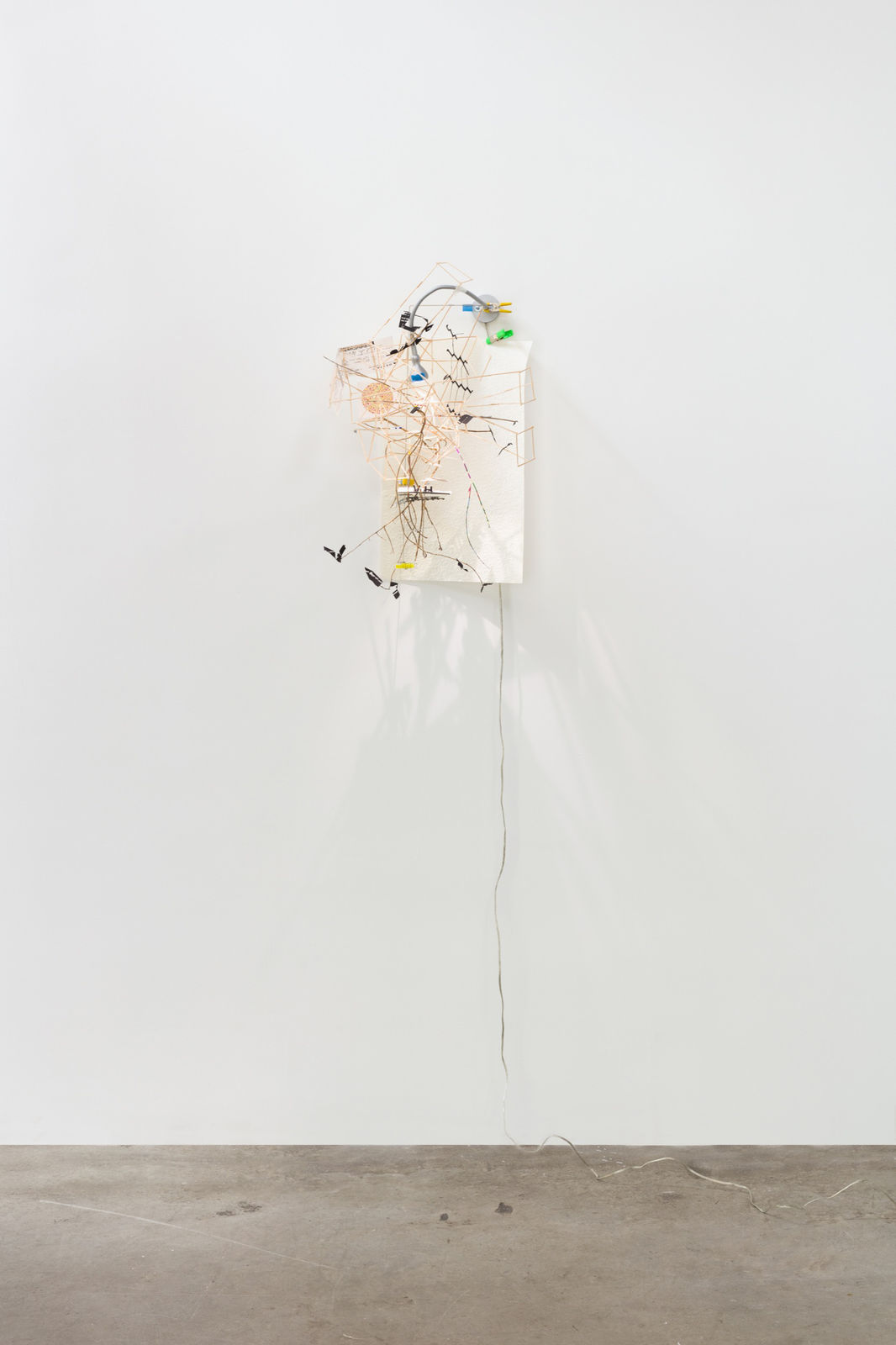 Image of Landing (Nest Series)