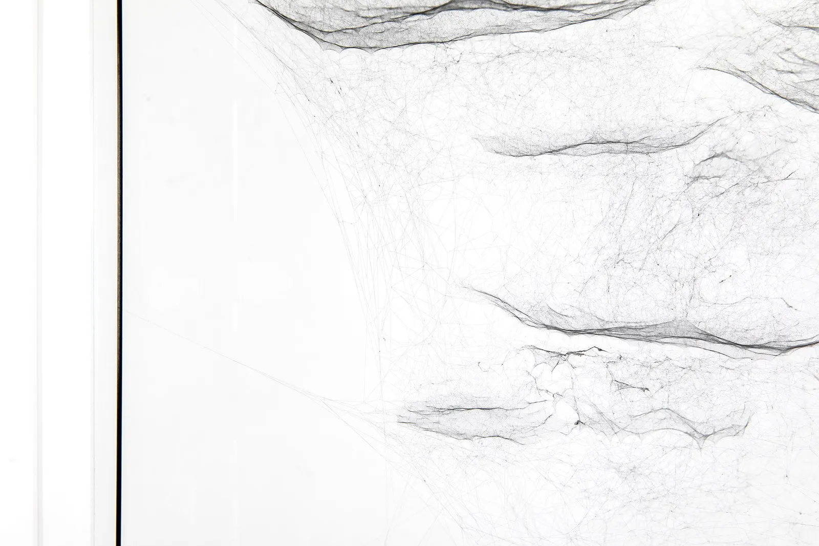 Image of spider box.