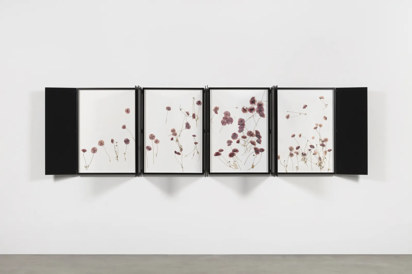 Image of Silent Spring