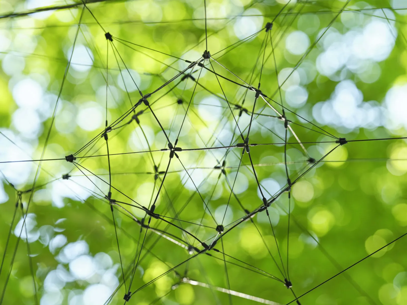 Image of Omega Centauri 3.9.