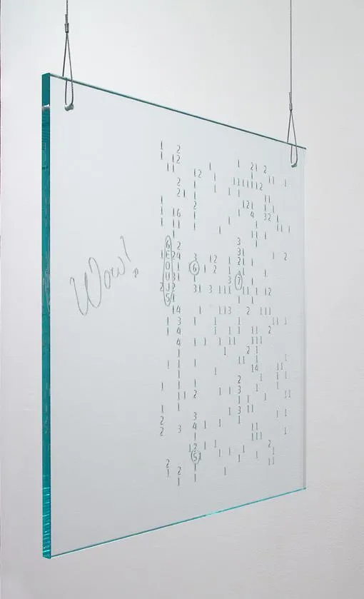 Agnieszka Kurant, Language is a Virus from Outer Space, 2007
