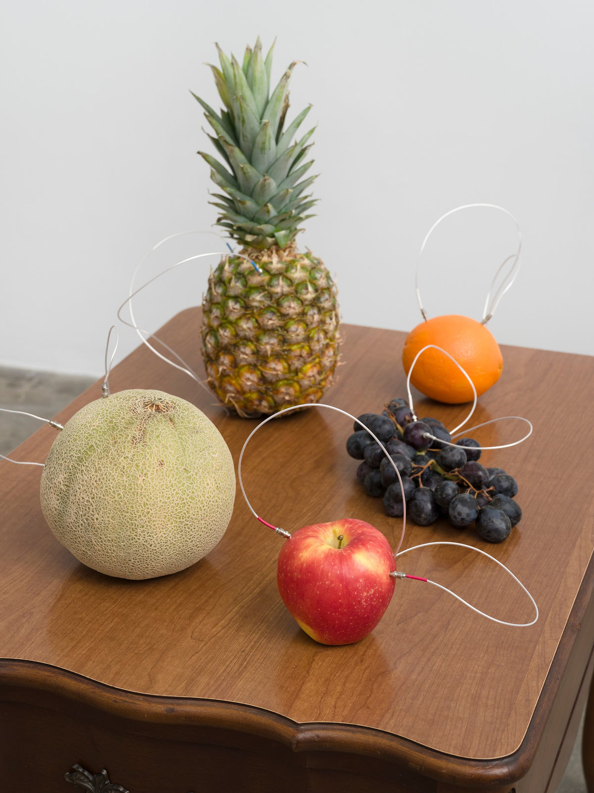 Image of Decomposition.