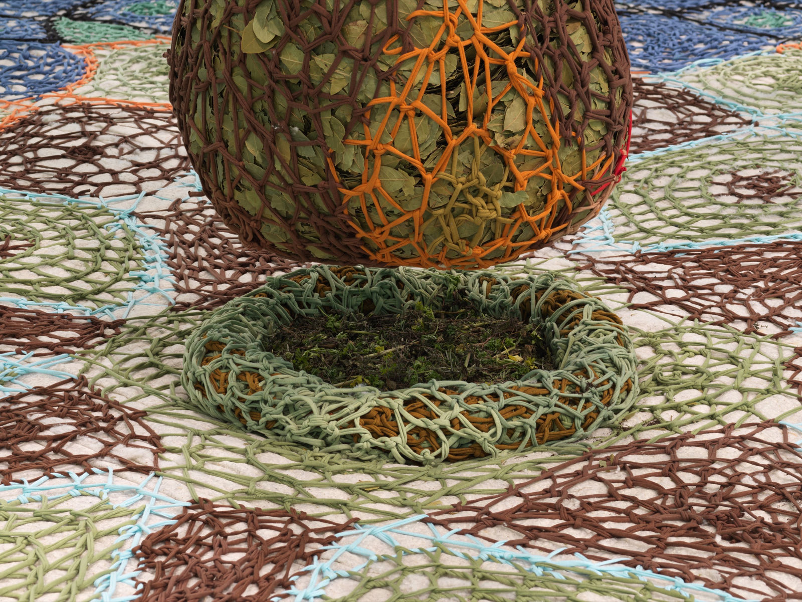 Image of earthtreelifelove.