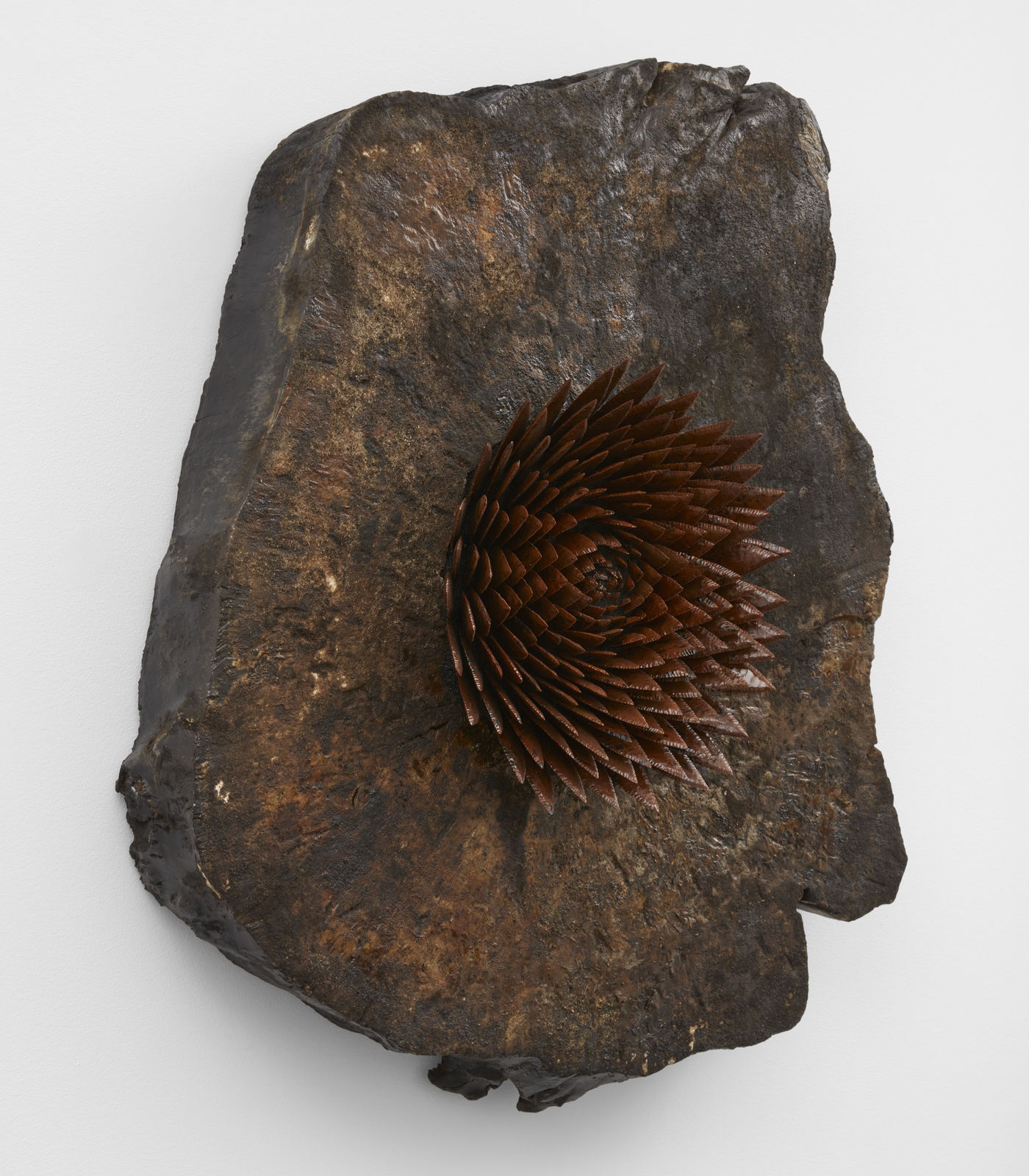 Image of Hrafntinnublómstur (Obsidian bloom) 2