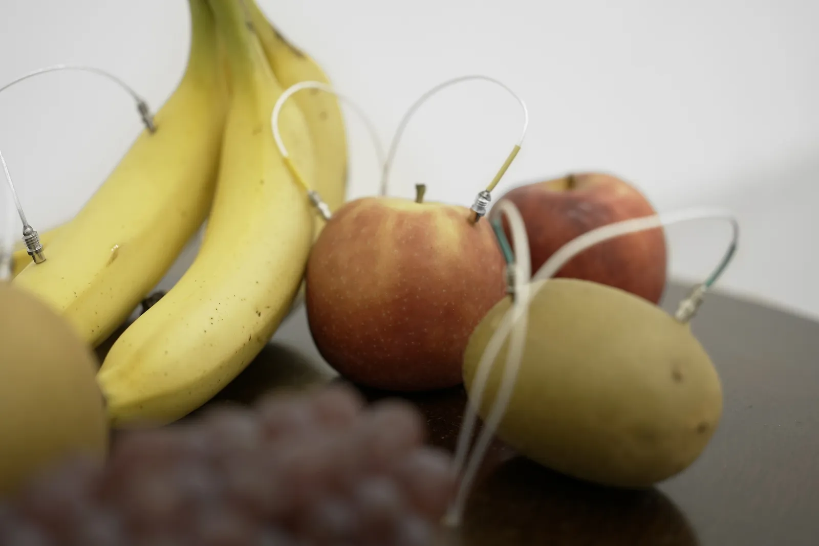 Image of Decomposition.