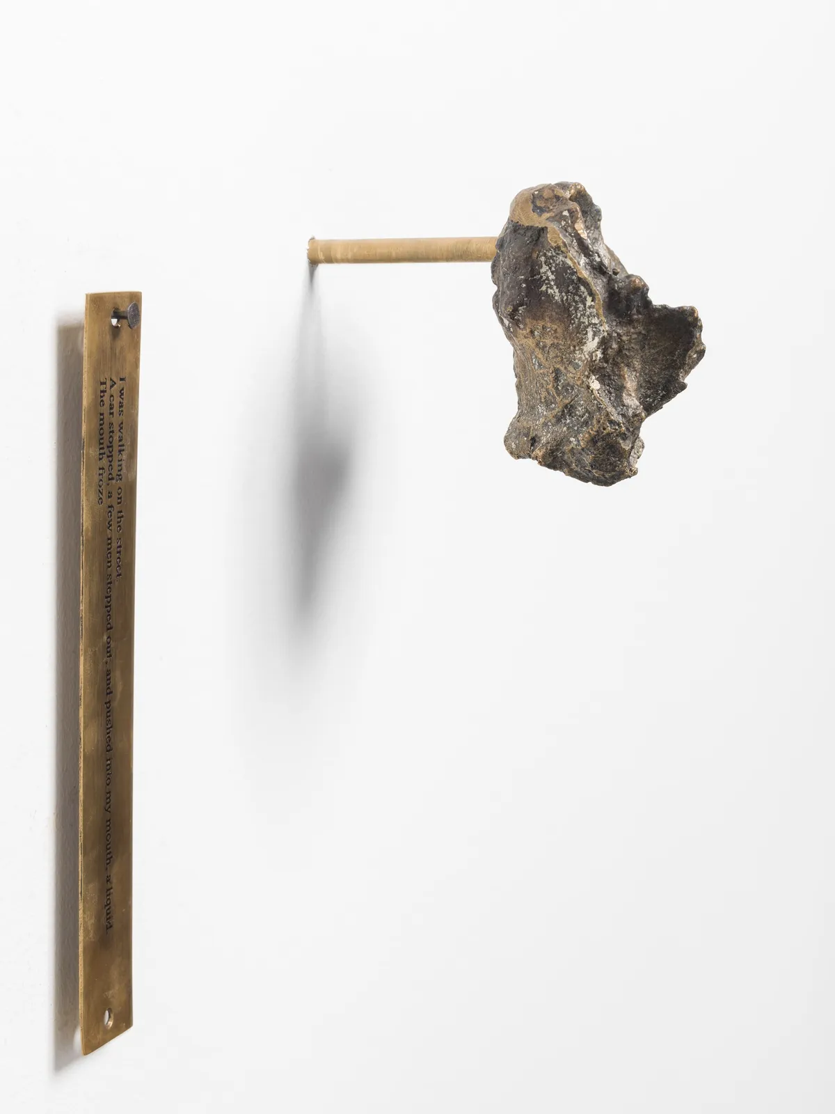 Image of A Liquid, The Mouth Froze