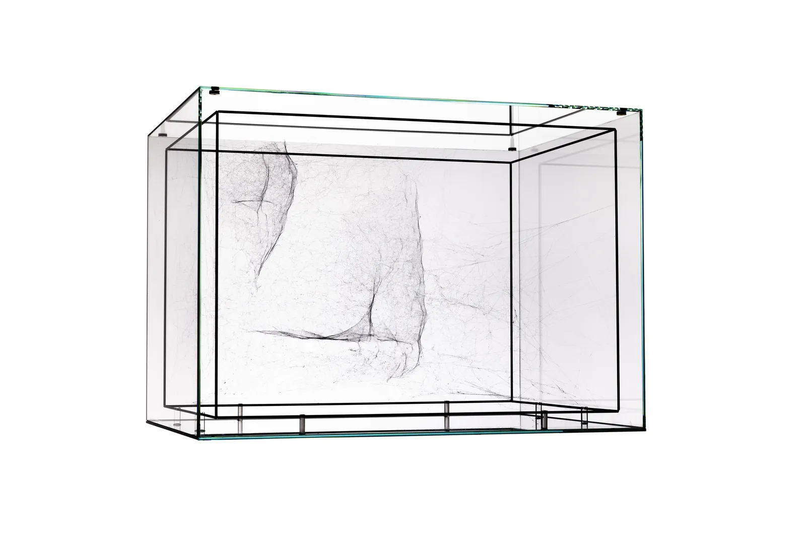 Image of Saraceno spider box.