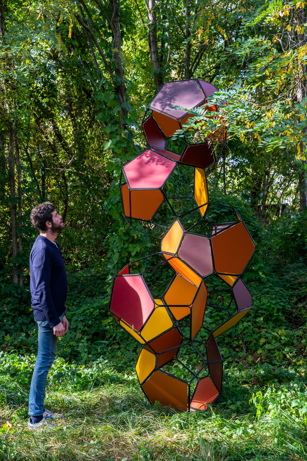 Image of Silent Autumn (Ross 508 B/M+M)