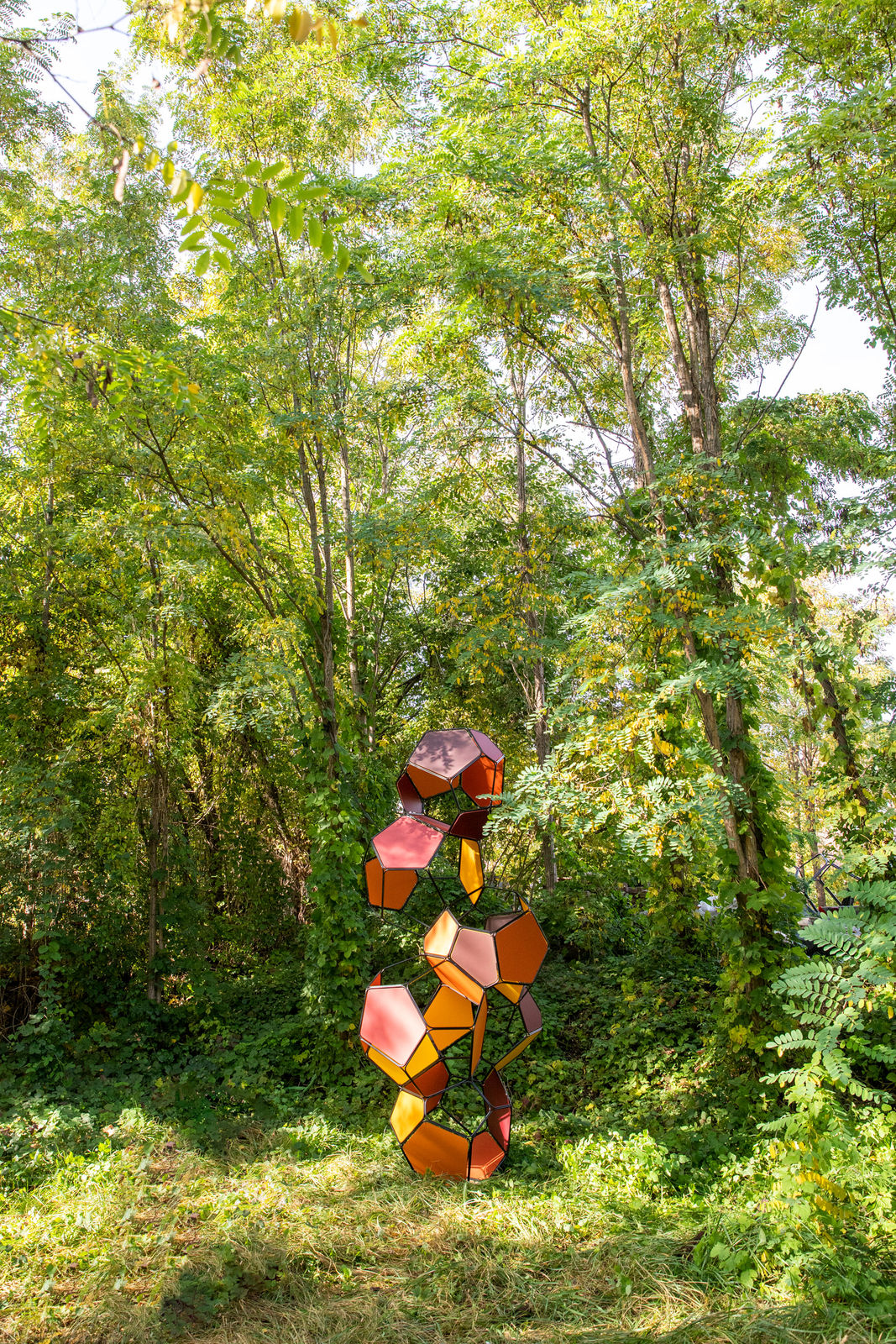 Image of Silent Autumn (Ross 508 B/M+M)