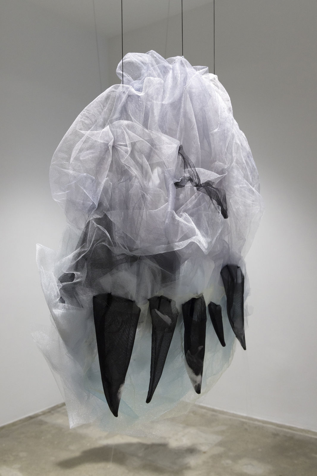 Image of Levianes #3