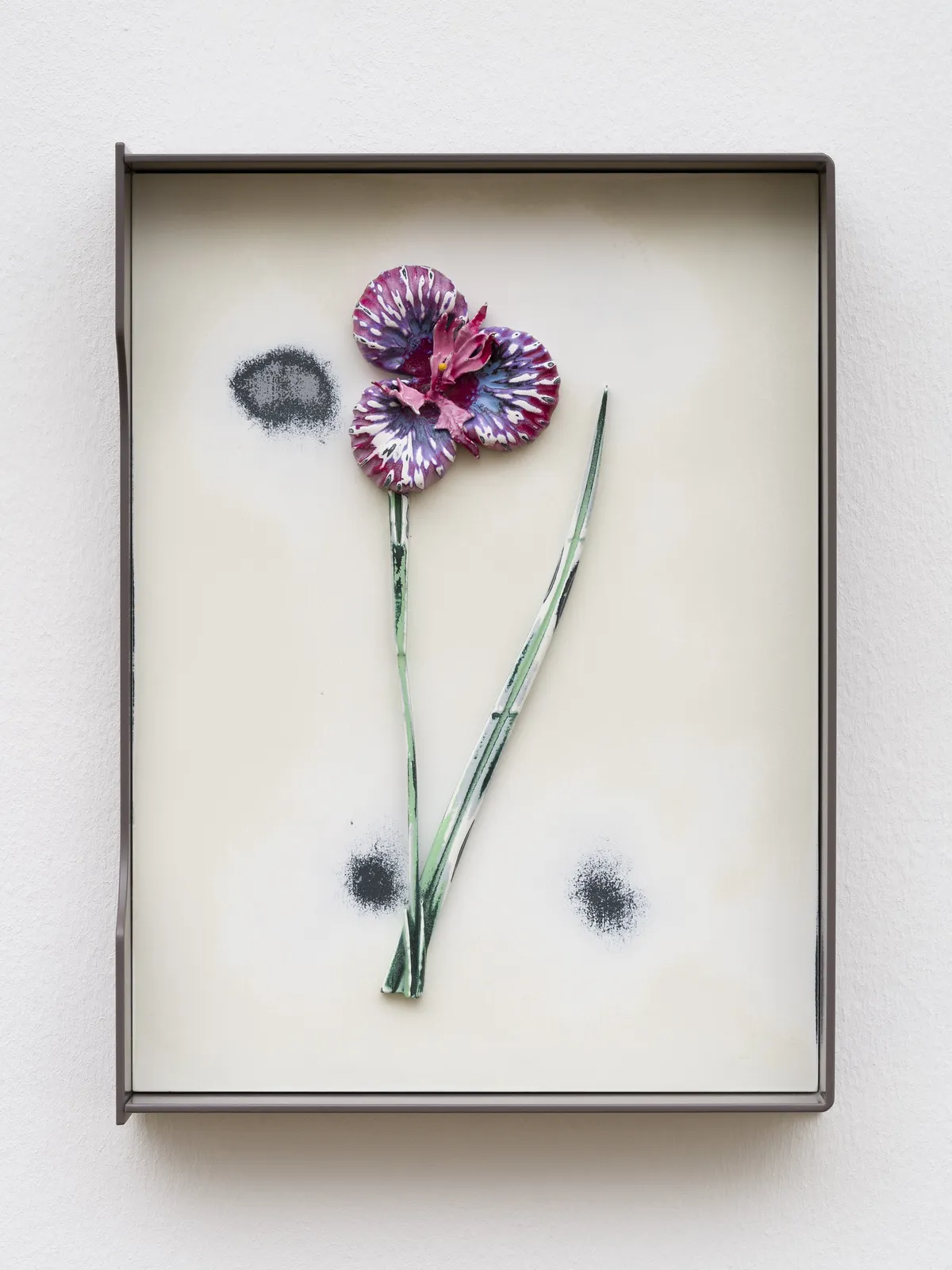 Image of Curtis (No. 571).