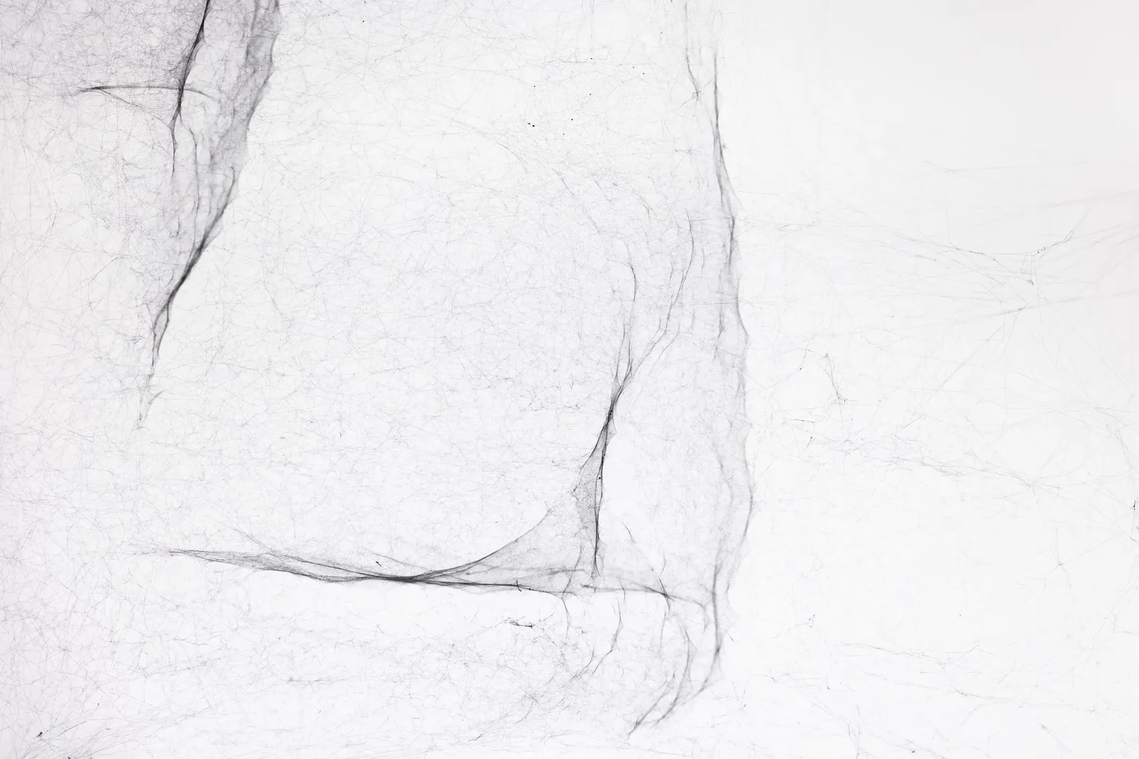 Image of Saraceno spider box.