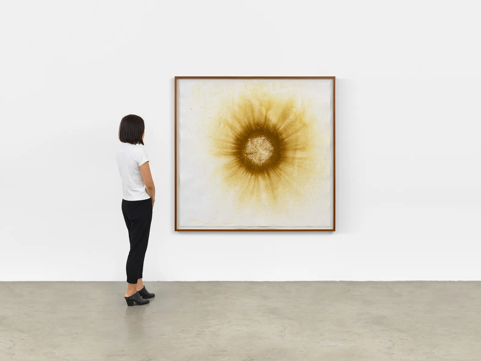 Image of Earth Sun I am