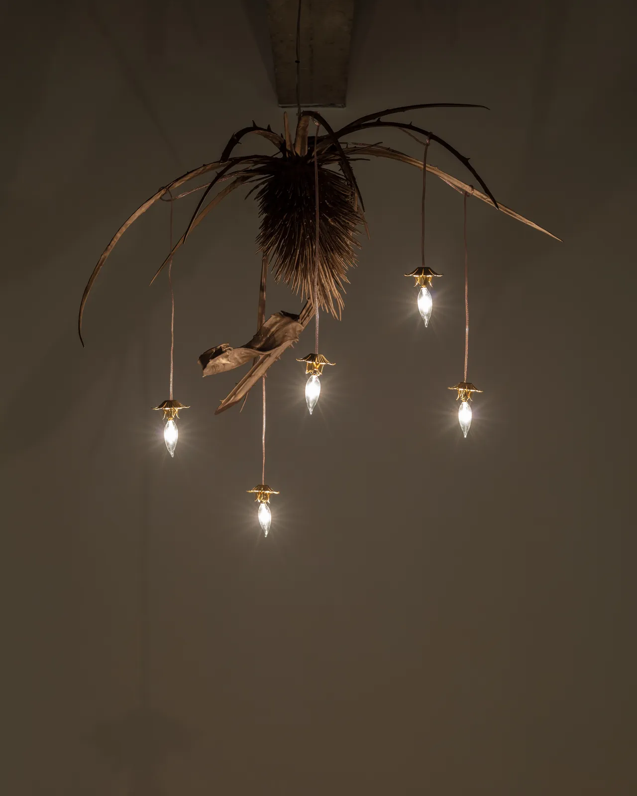 Image of Constellation