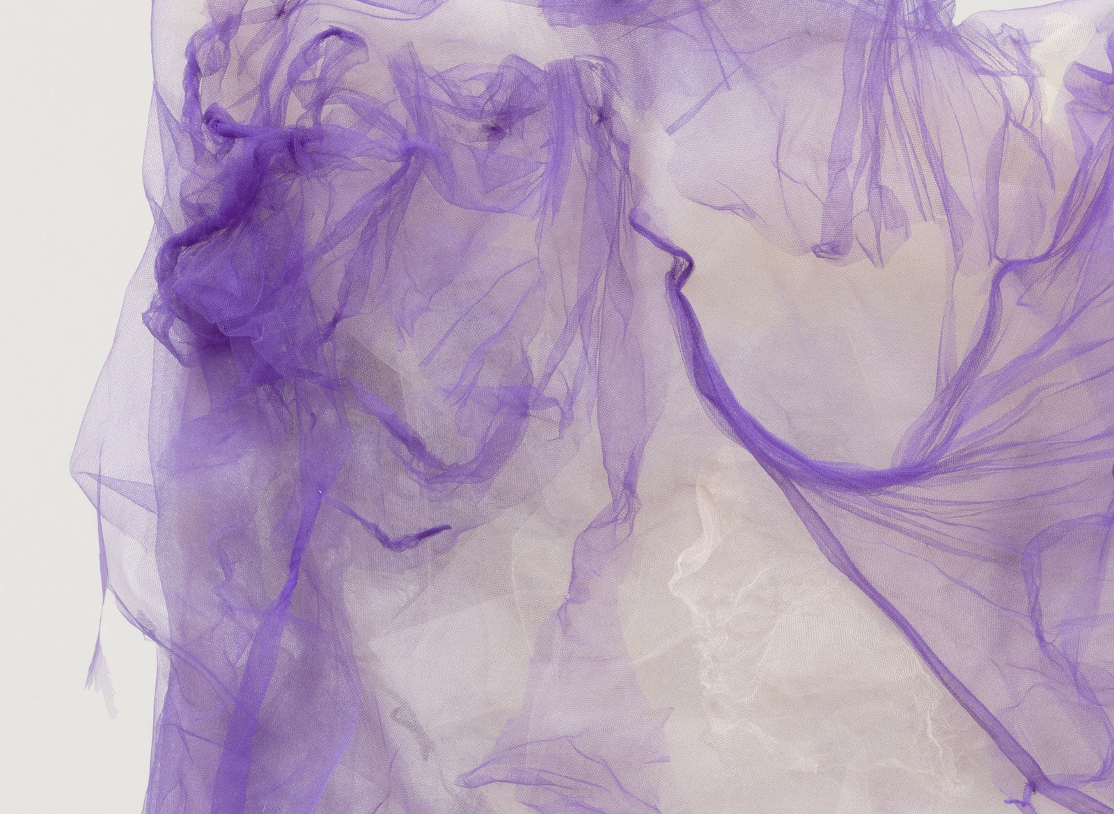 Image of Levianes #2