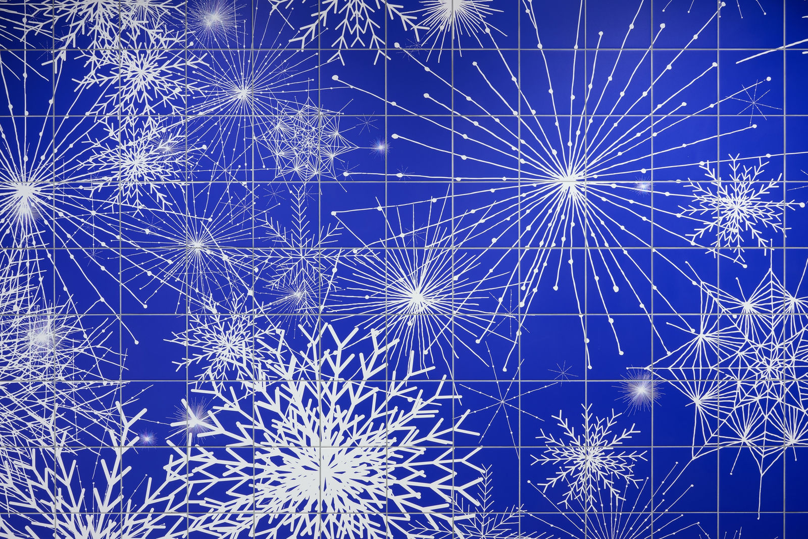 Image of Image of Cosmology for the Future.