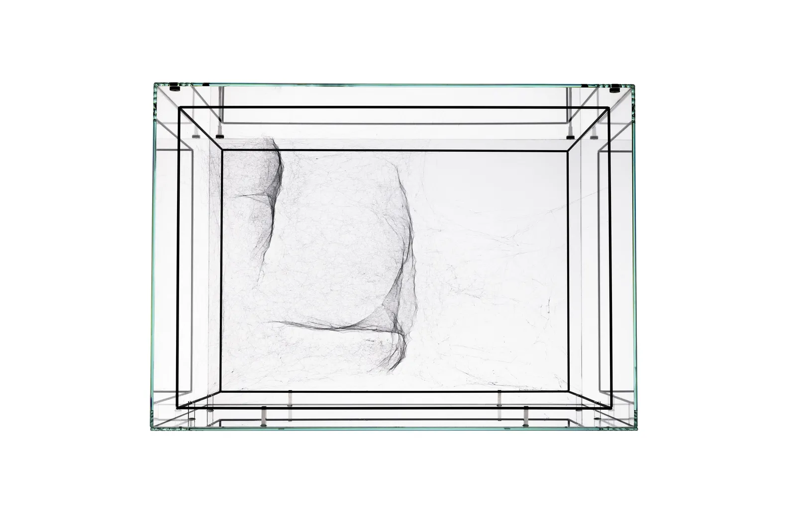 Image of Saraceno spider box.