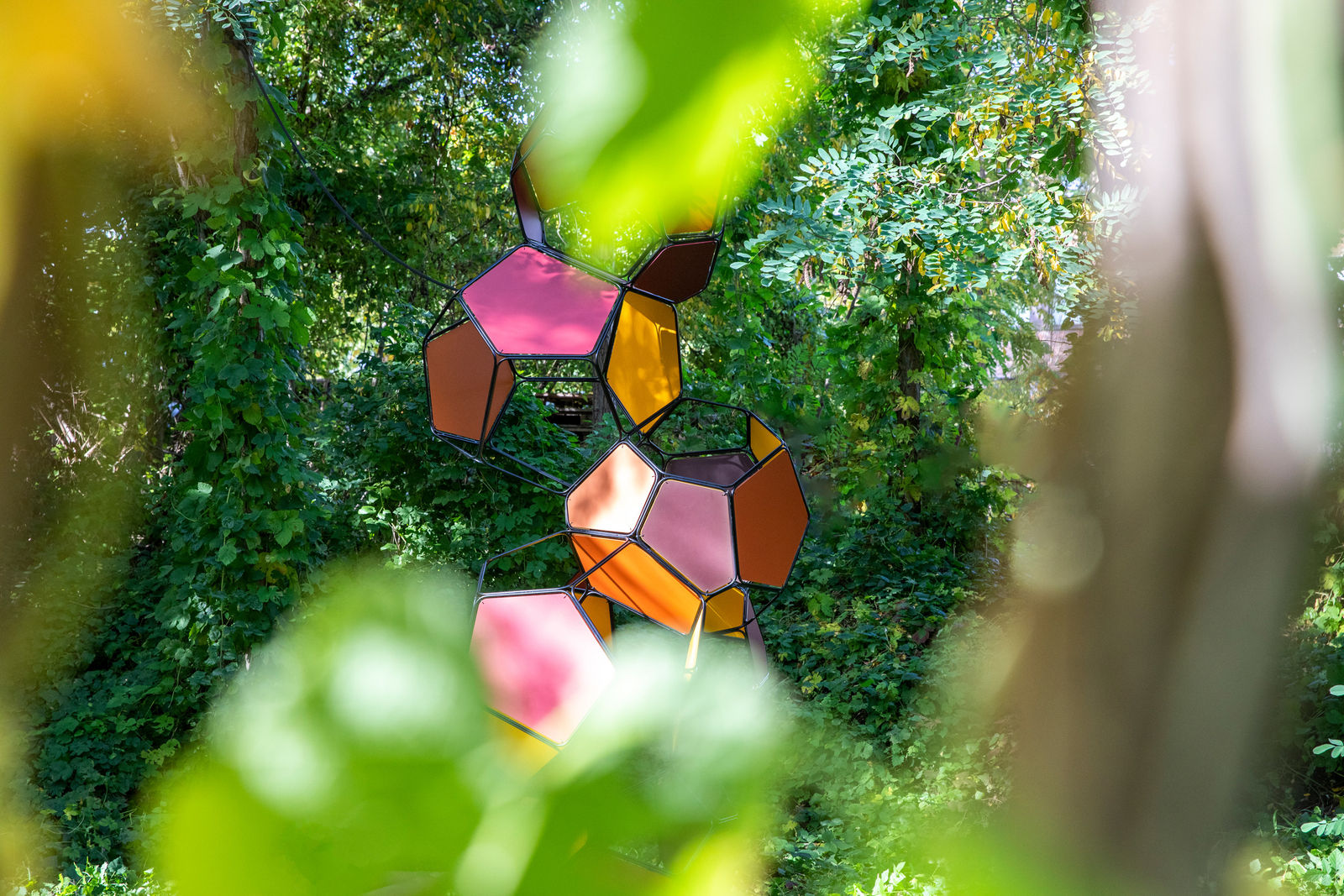 Image of Silent Autumn (Ross 508 B/M+M)