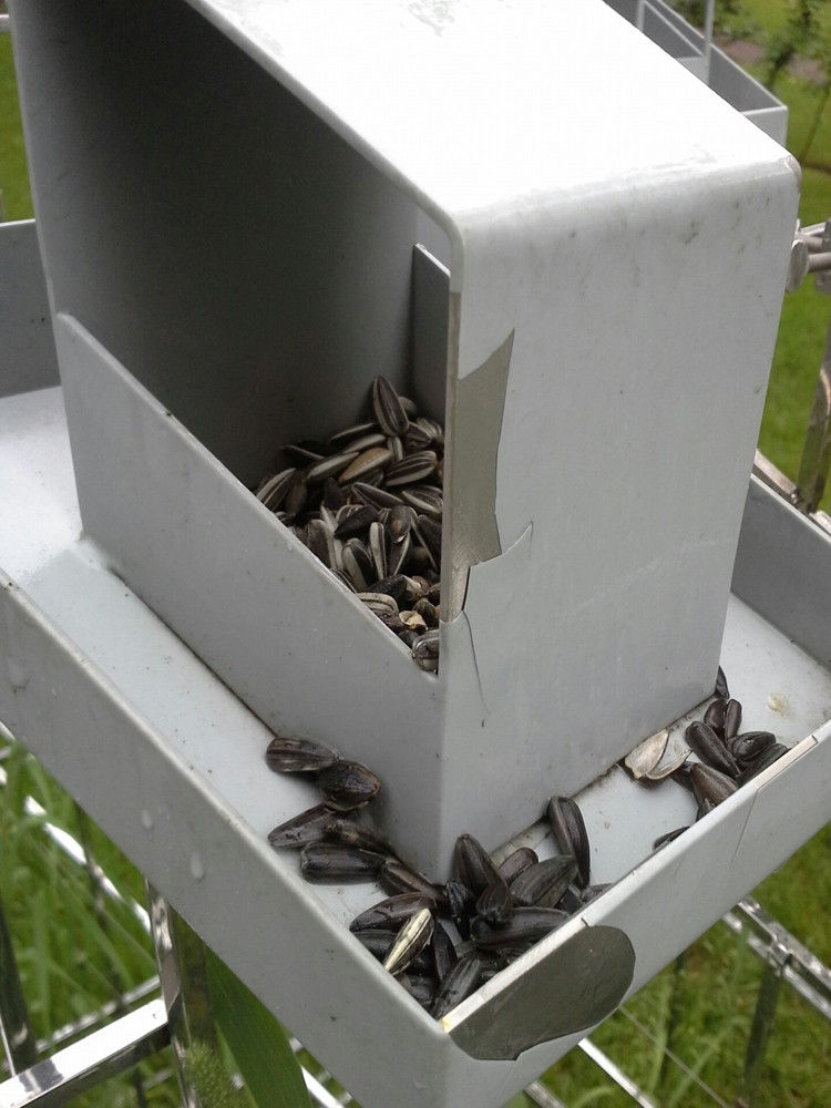 highline installation of bird houses