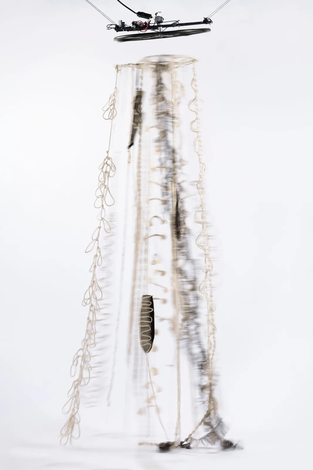 Image of Balé Literal; Desenho Giratório #2.