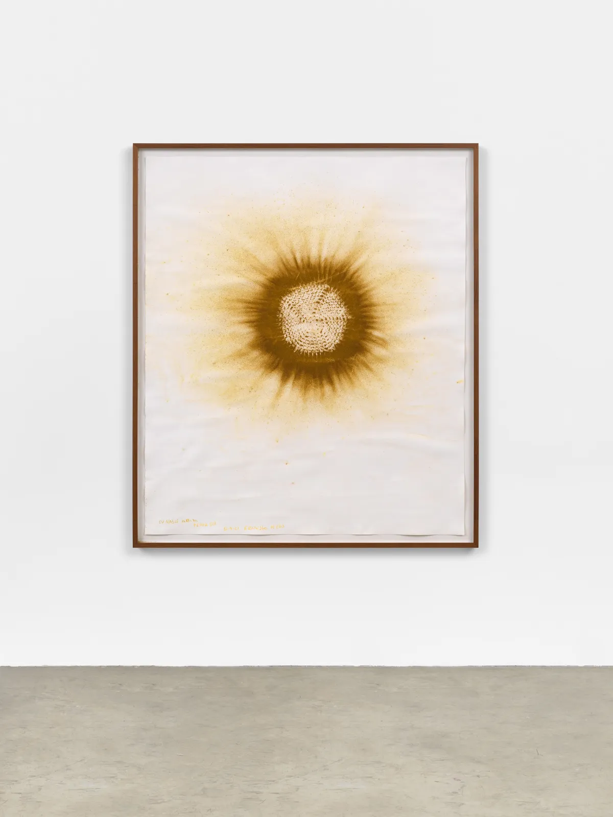 Image of Eu nasci assim Terra Sol