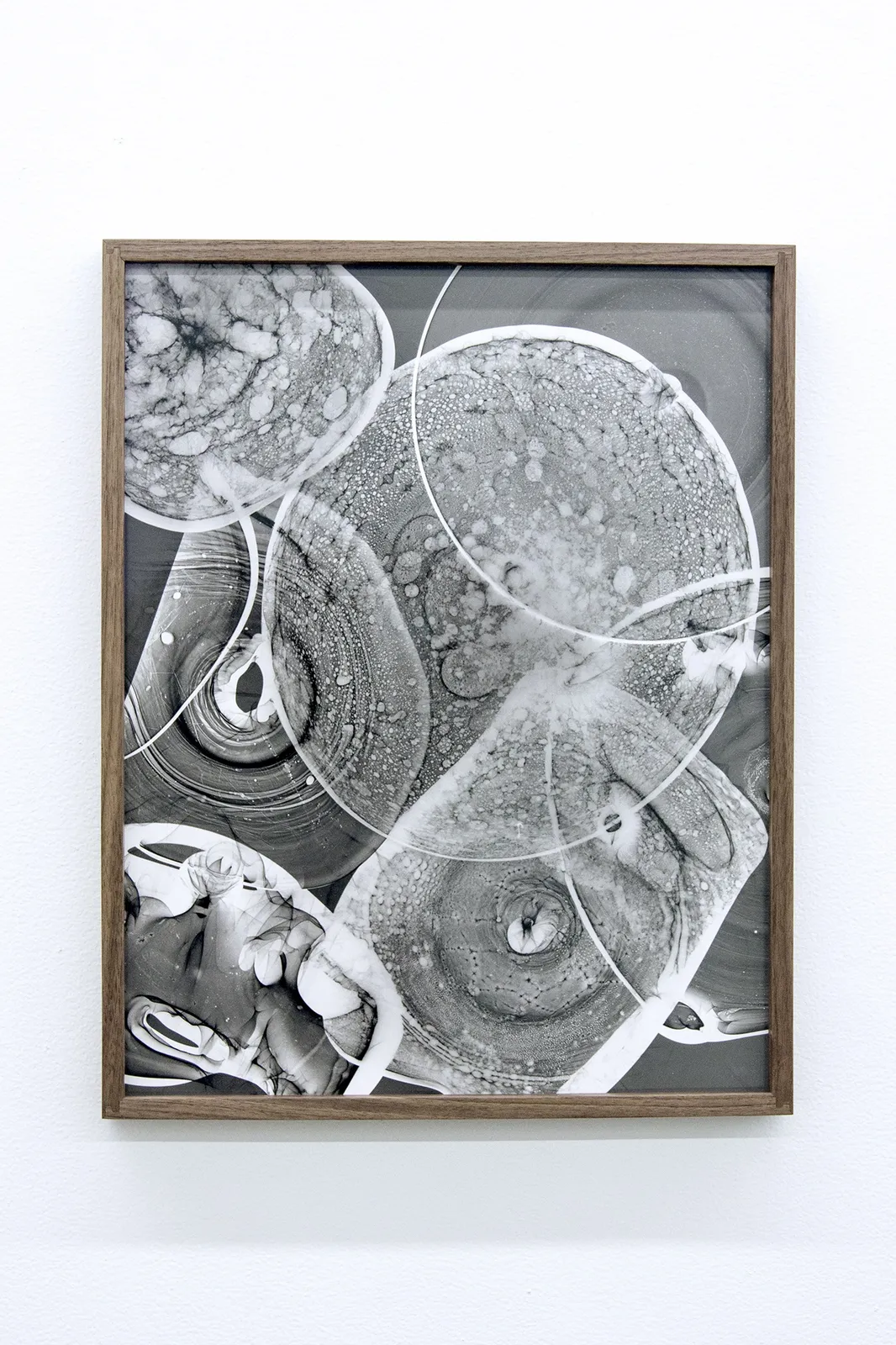 Kelly Akashi, Lenses, 2018