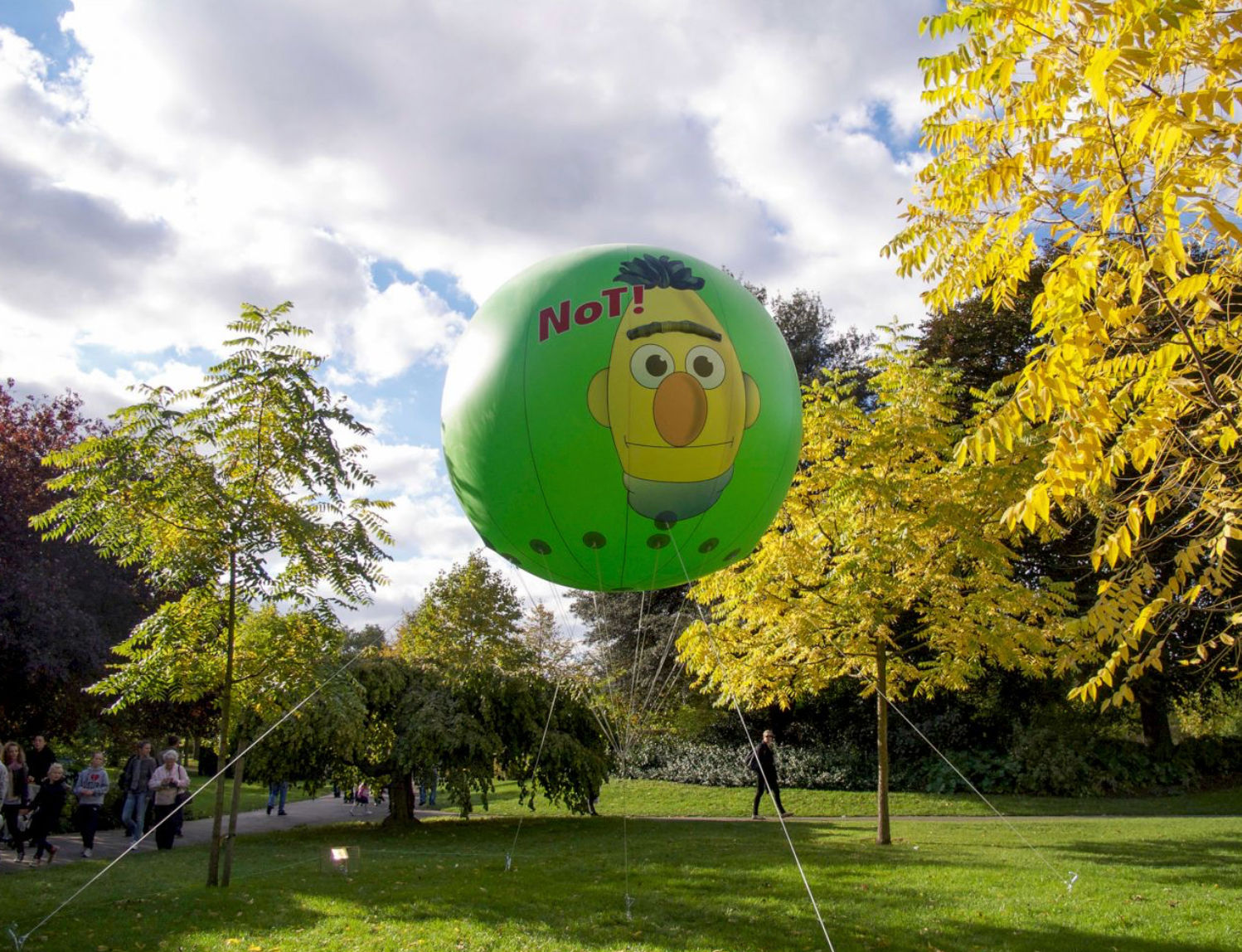 Image of A Monobrow Manifesto.