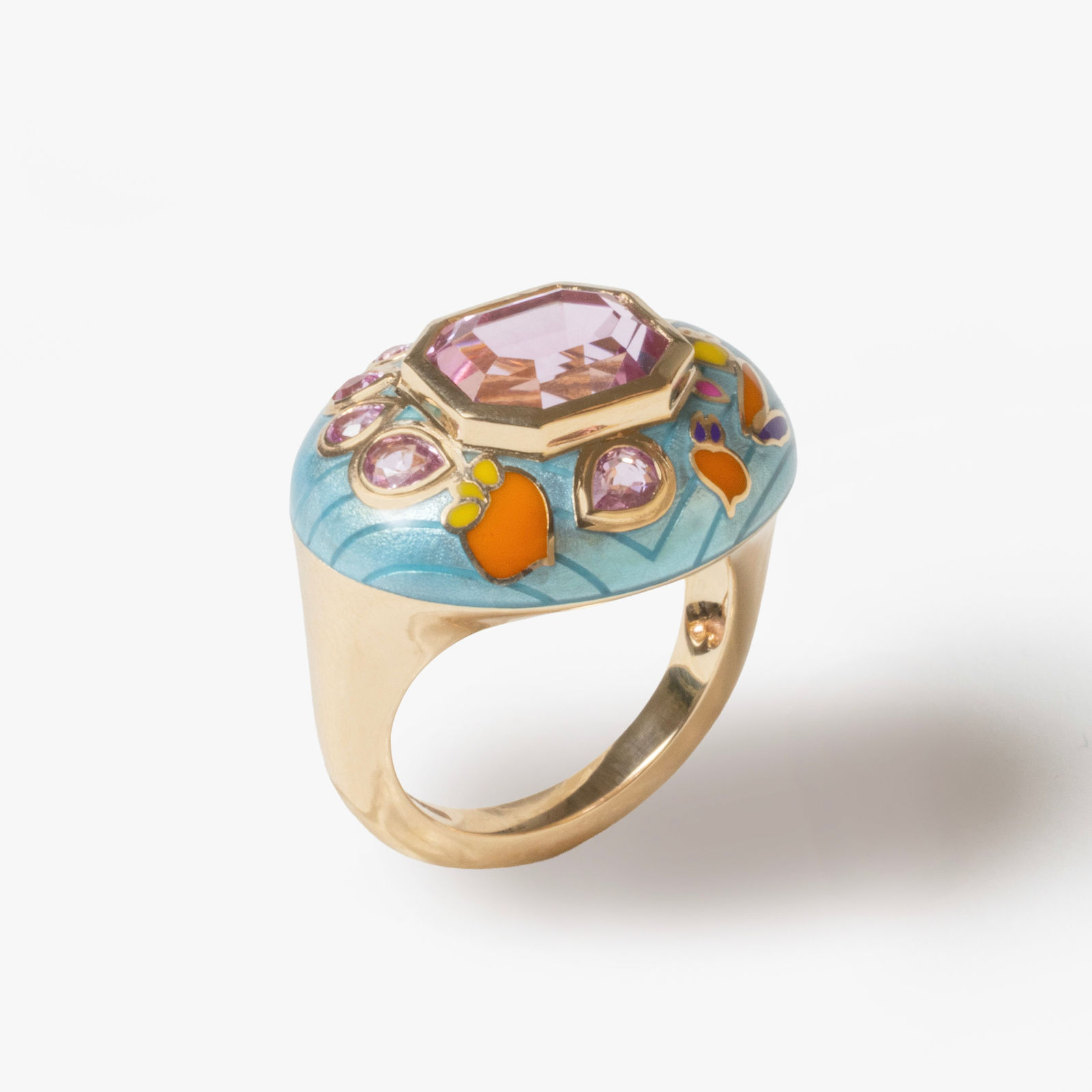 Alice Cicolini, High sari lucknow ring