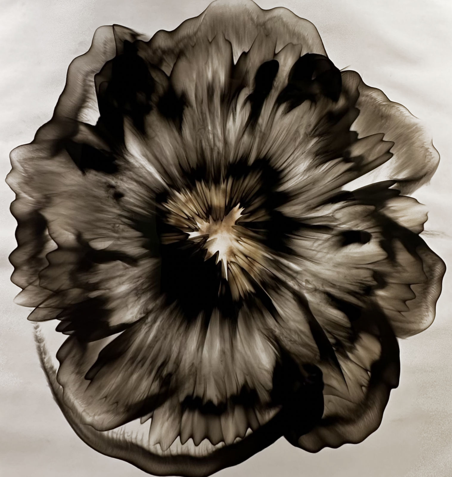 Dennis Lee Mitchell, Untitled (58.7) Smoke on Paper, 2019