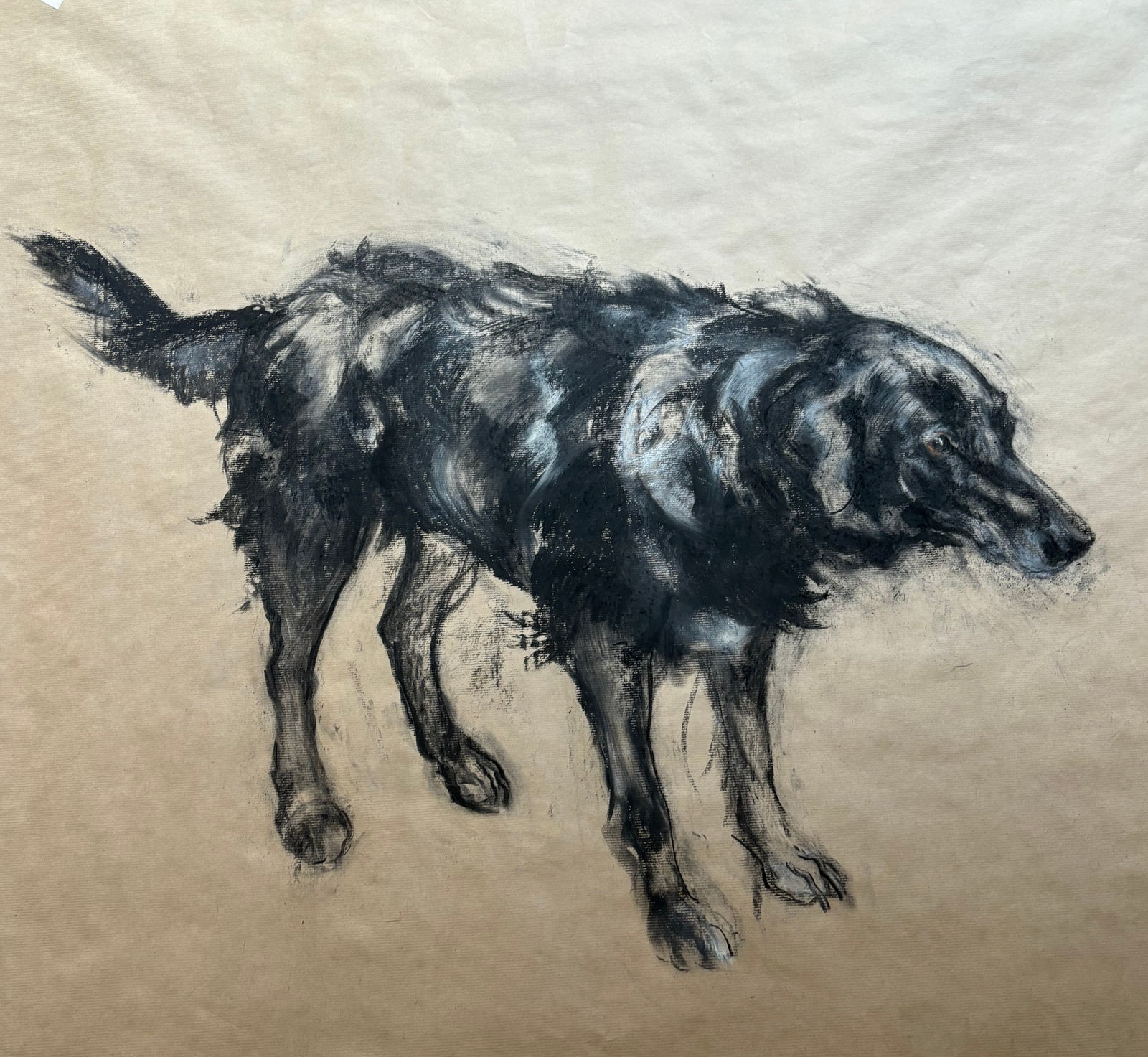 Nicola Hicks, Oscar Wild, 2024