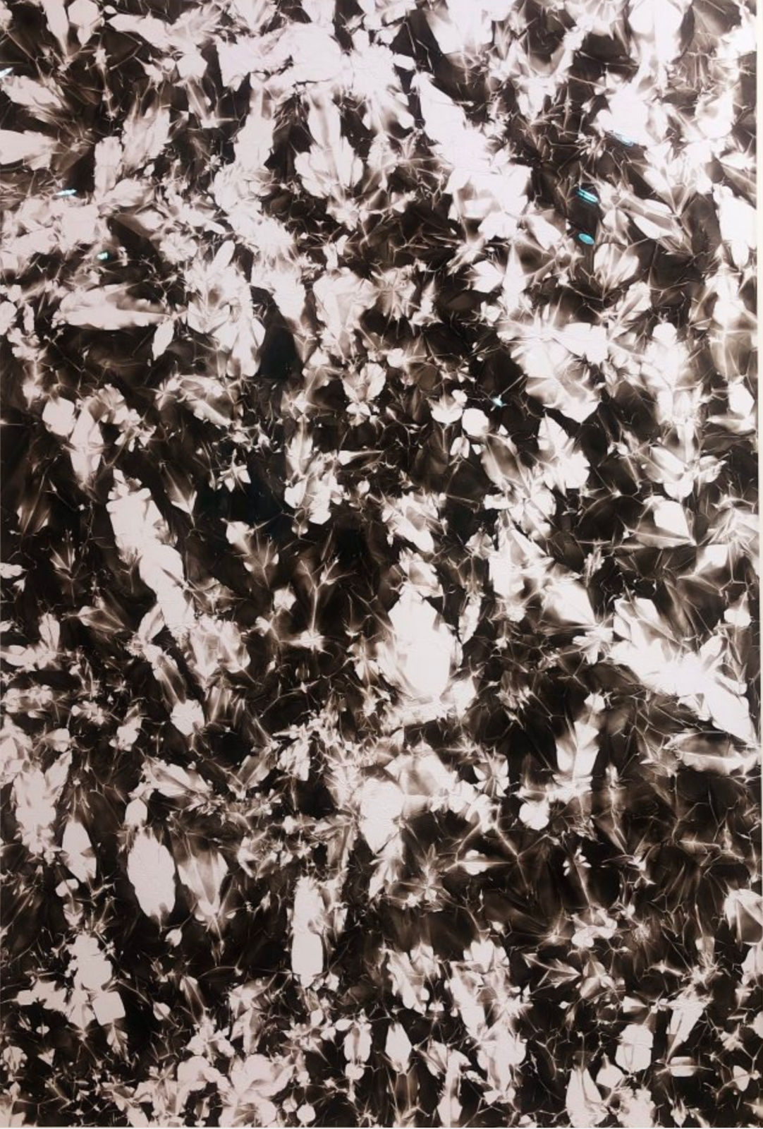 Dennis Lee Mitchell, Folded/Unfolded, 2017