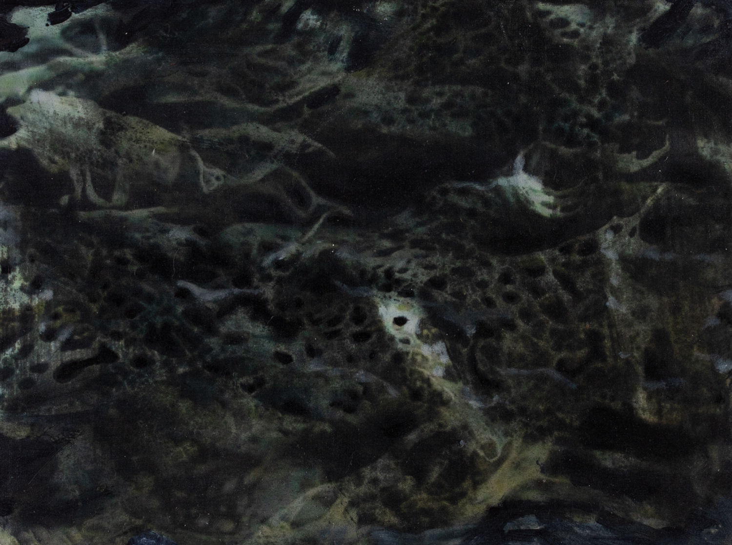 Beatrice O'Connell, Old Growth, 2025