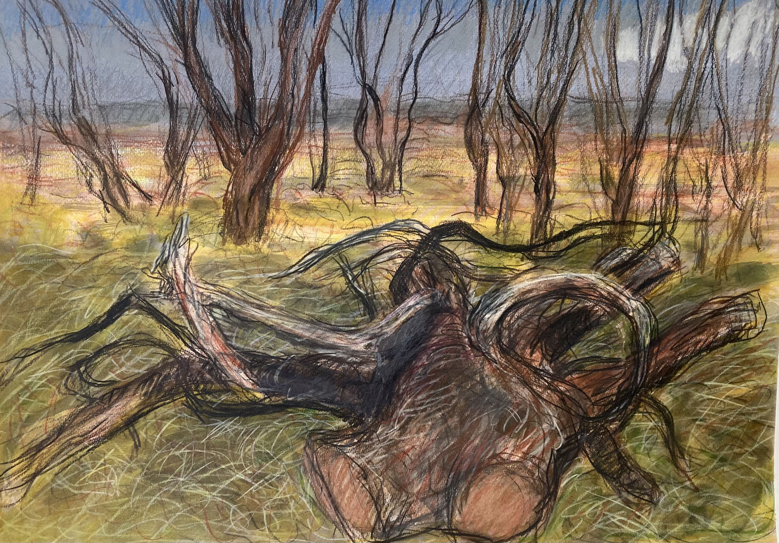Brian Bourke, Copse with Fallen Tree VI, 2021
