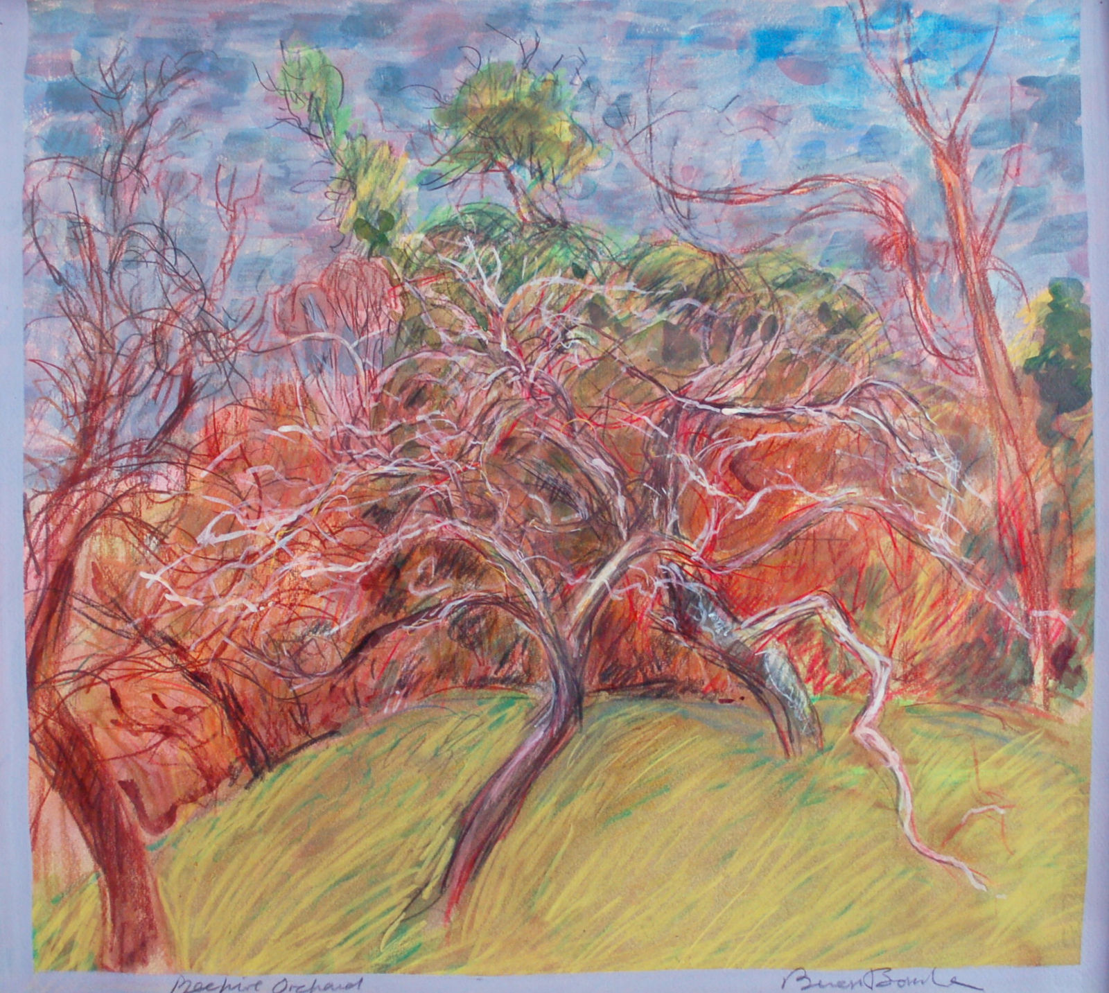 Brian Bourke, Beehive Orchard 2, 2019