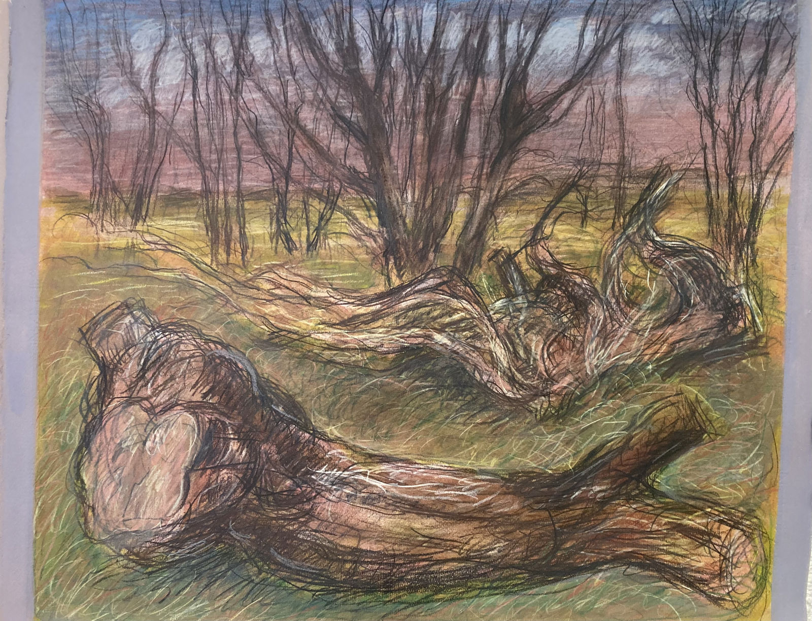 Brian Bourke, Copse with Fallen Tree V, 2021