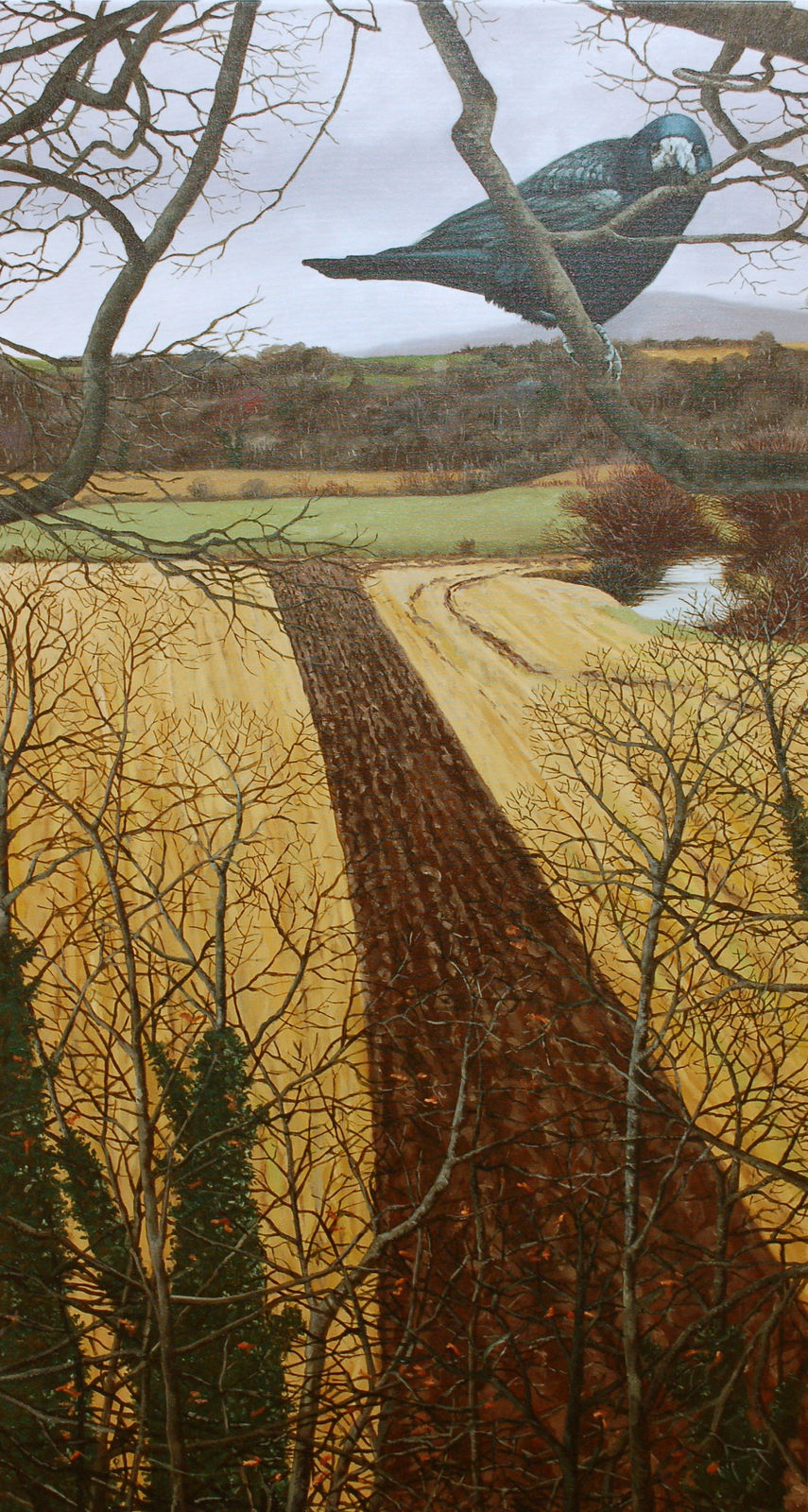 Martin Gale, Over and Above, 2017