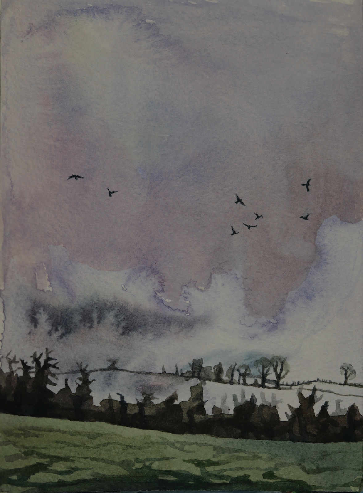 Ann Quinn, December Field, 2023