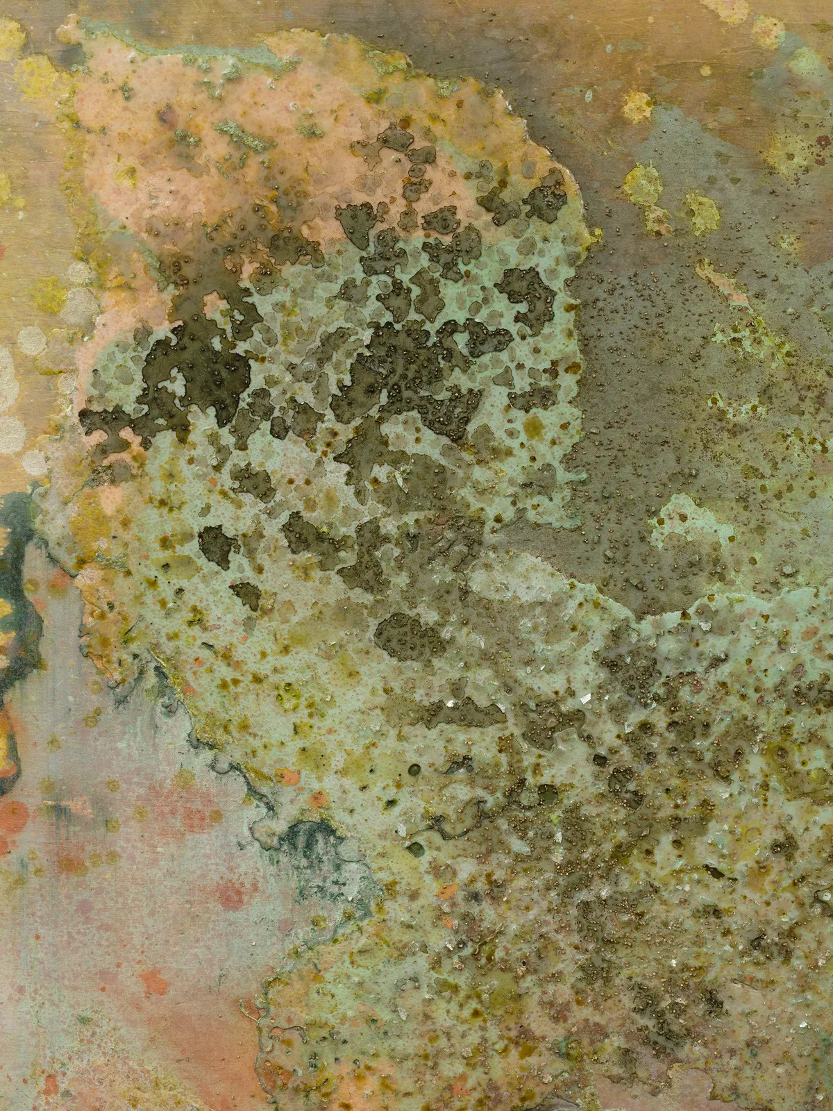 Tonia Calderon, We can wait for the clouds to move. Or we can walk to the sun. , 2025