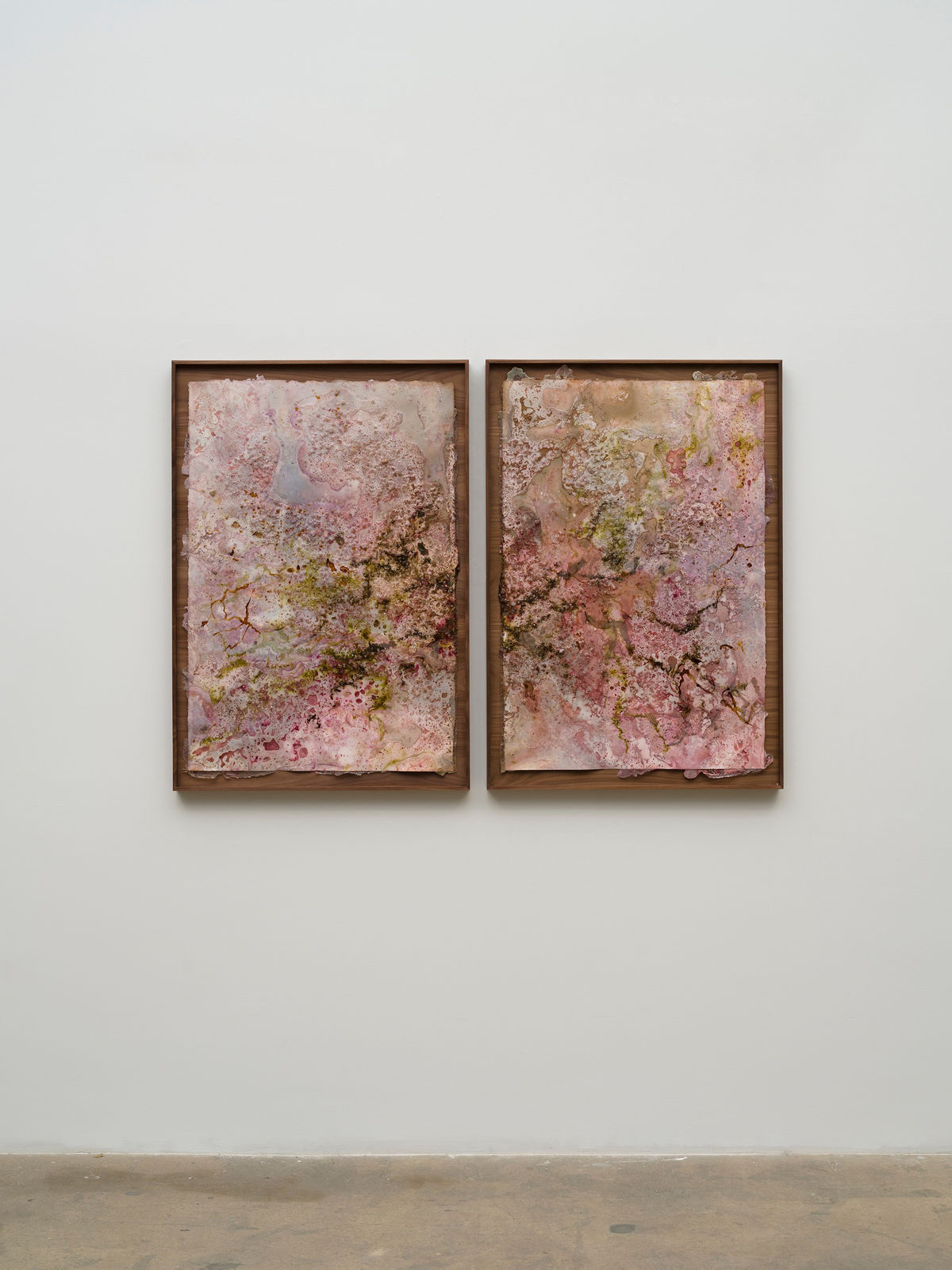 Tonia Calderon, Hold on to yourself. Crime is the wanderer easily moved in the wind., (Diptych), 2025