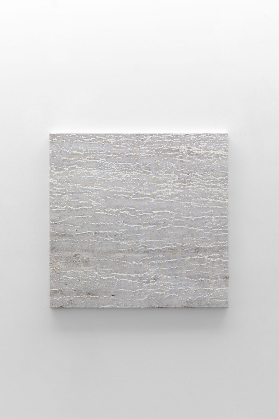 Kathleen Jacobs, TUTSI, 2020