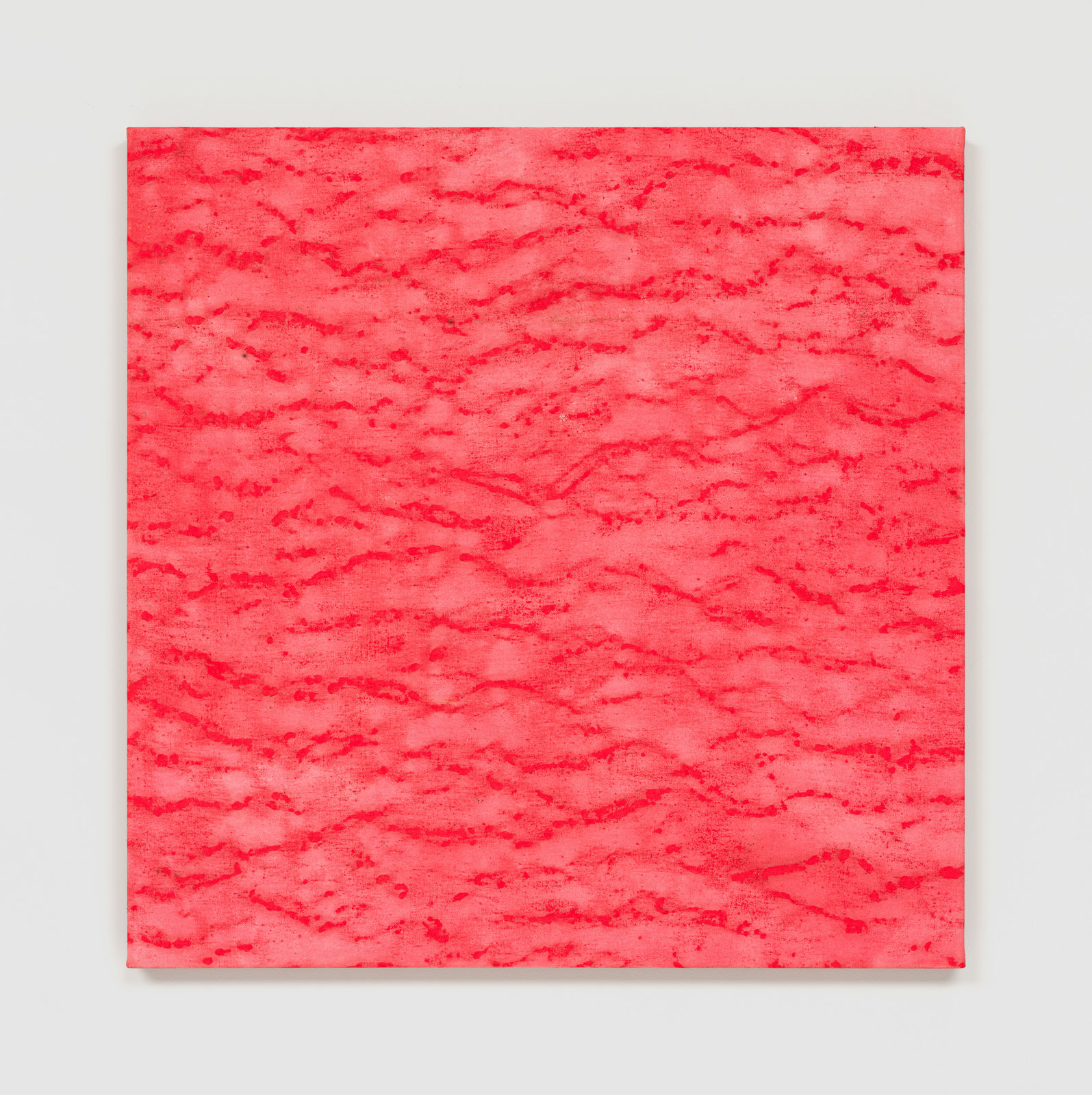 Kathleen Jacobs, MDUSA, 2023