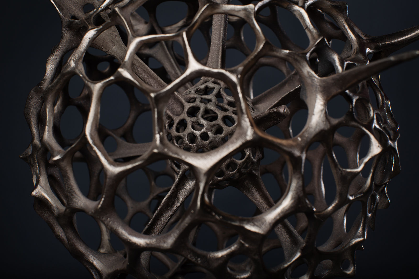 Vincent Mock, Radiolaria