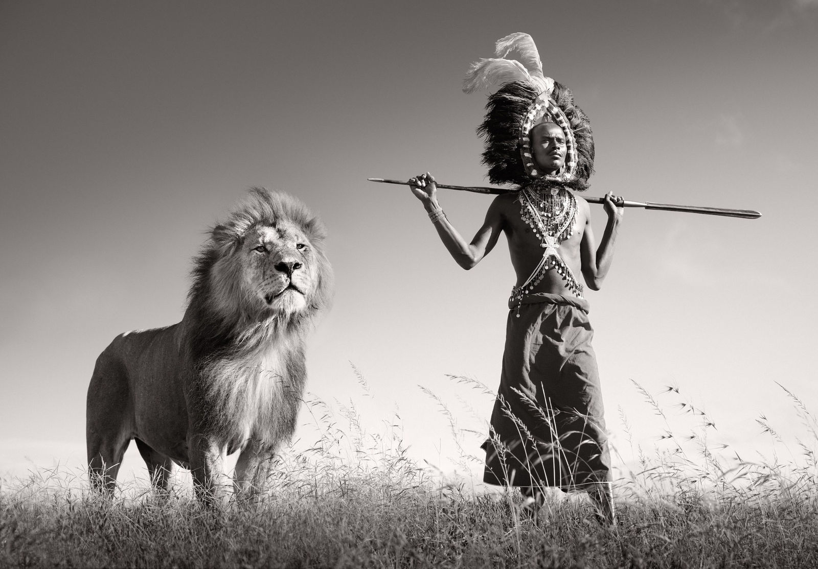 James Lewin, Guardians Of The Plains