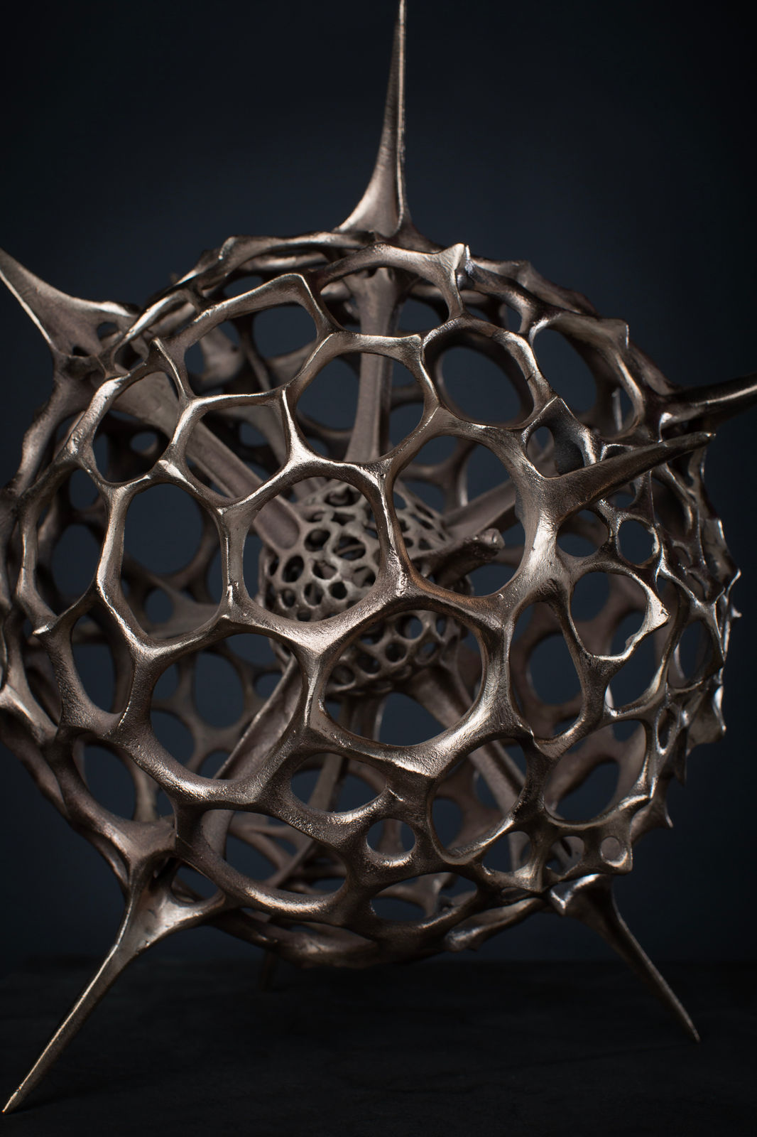 Vincent Mock, Radiolaria