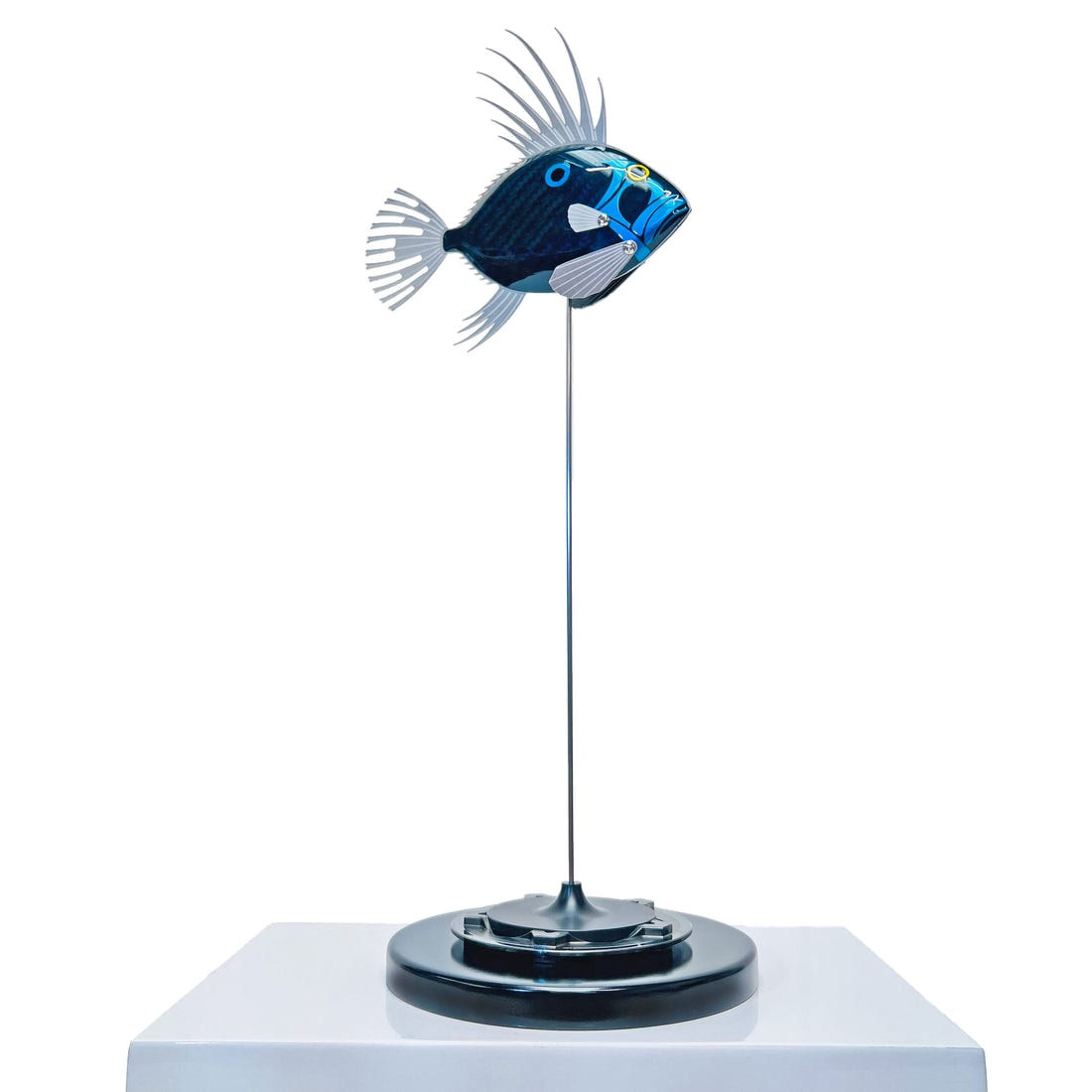 Alastair Gibson, Baby Dory (4 colours)