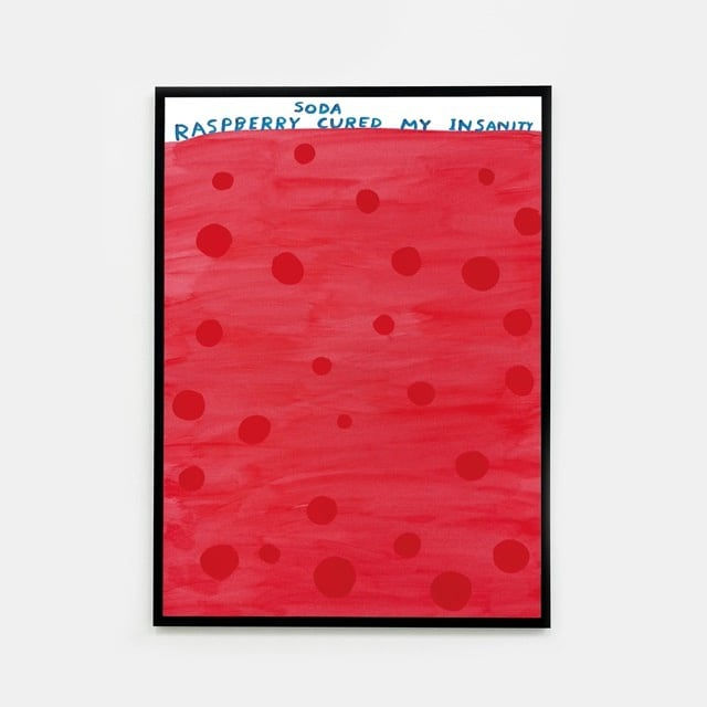 David Shrigley, Raspberry Soda Cured My Insanity